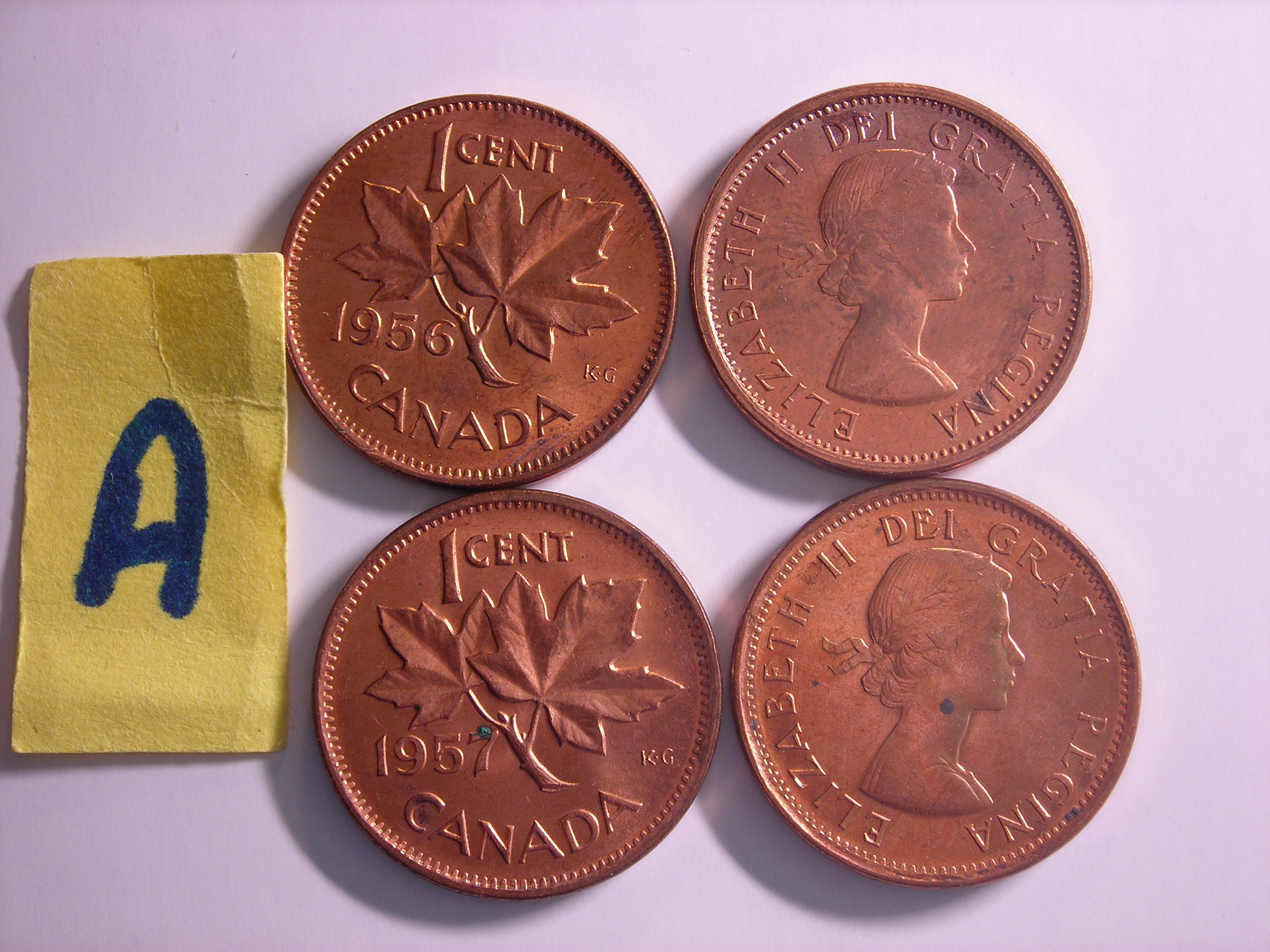 DSCN9337.JPG