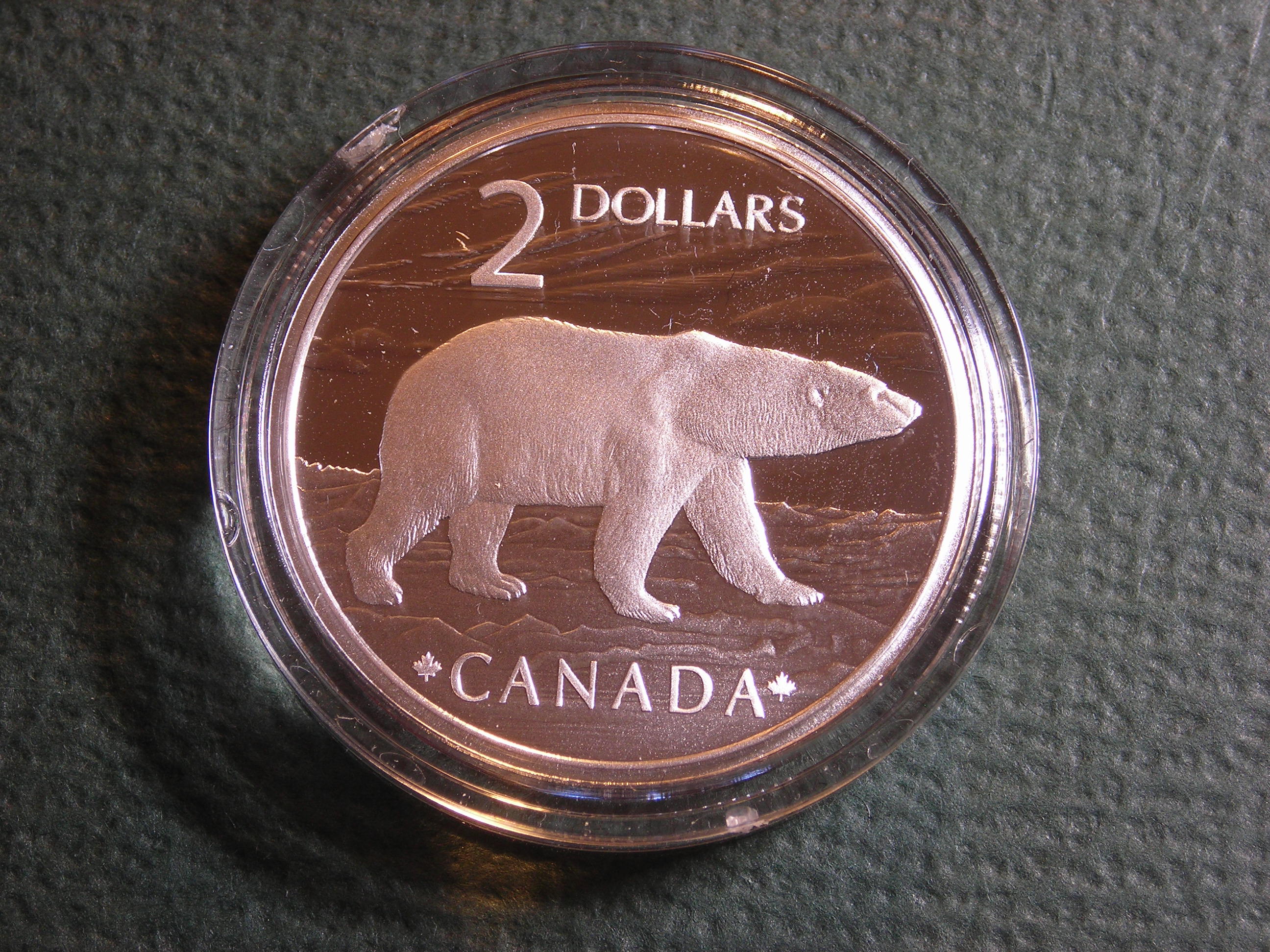 DSCN9368.JPG