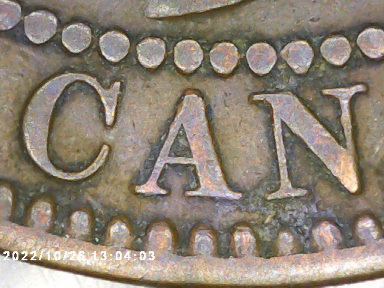 PICT0012.jpg