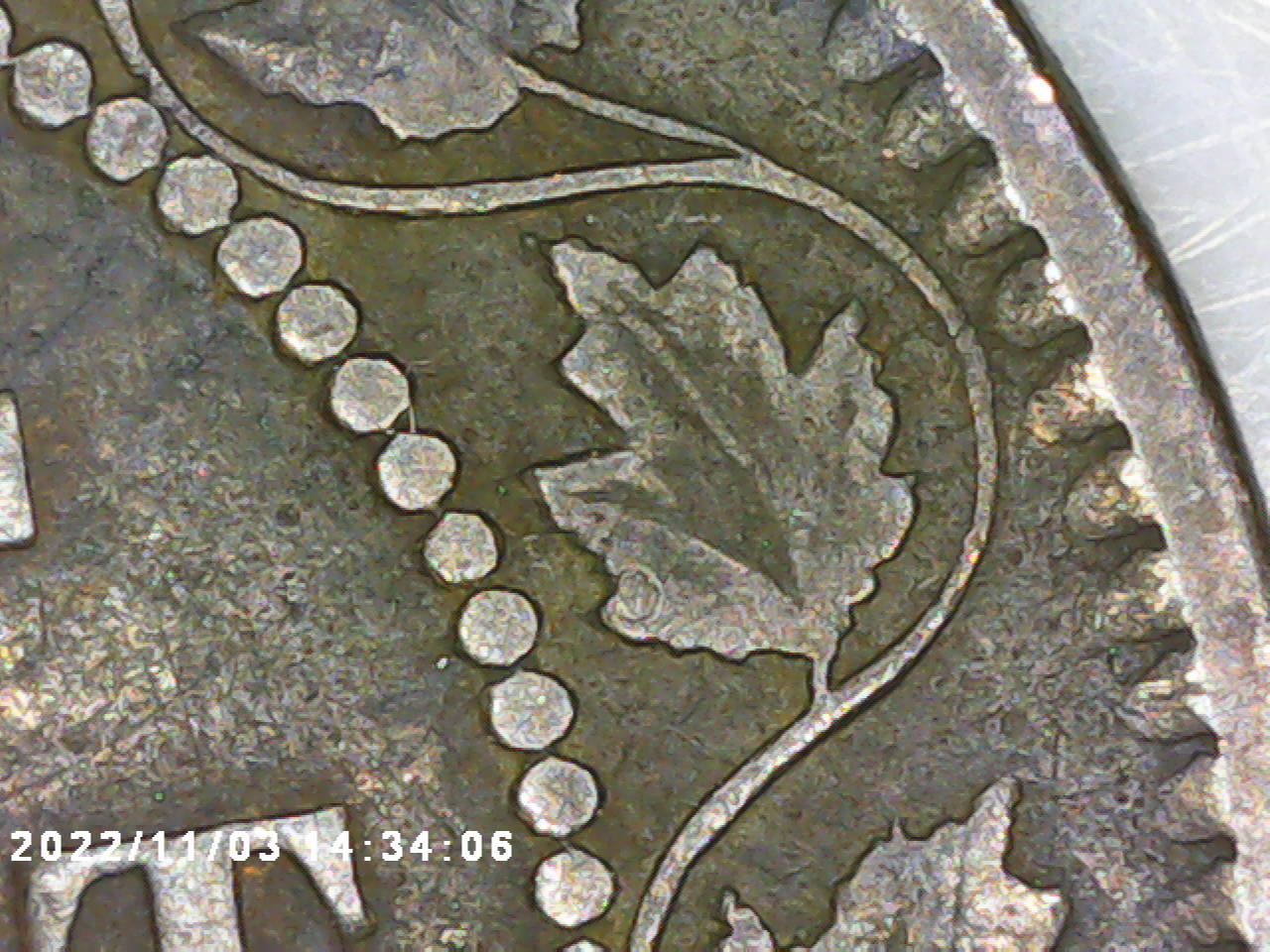 PICT0001.jpg