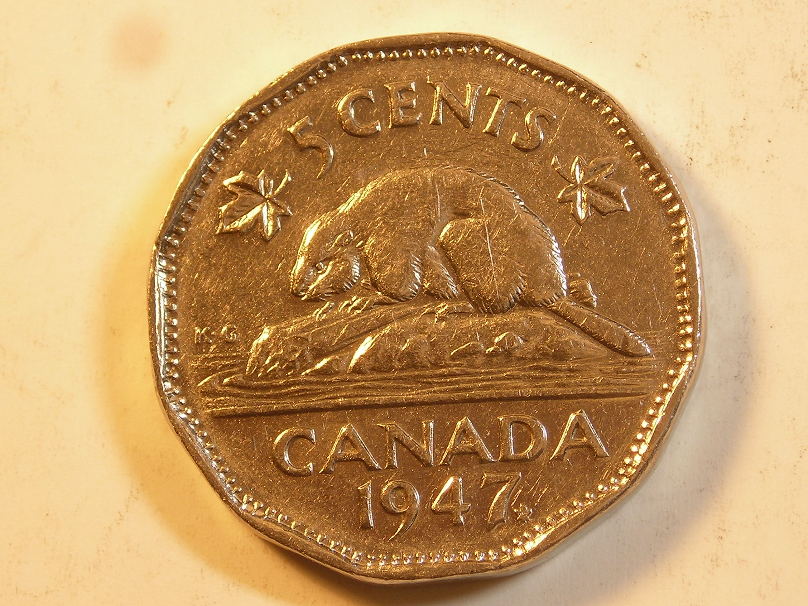 DSCN9480.JPG