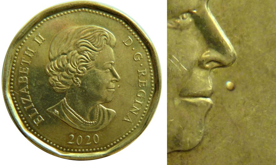 1 Dollar 2020-Point devant la bouche de effigie-1.JPG