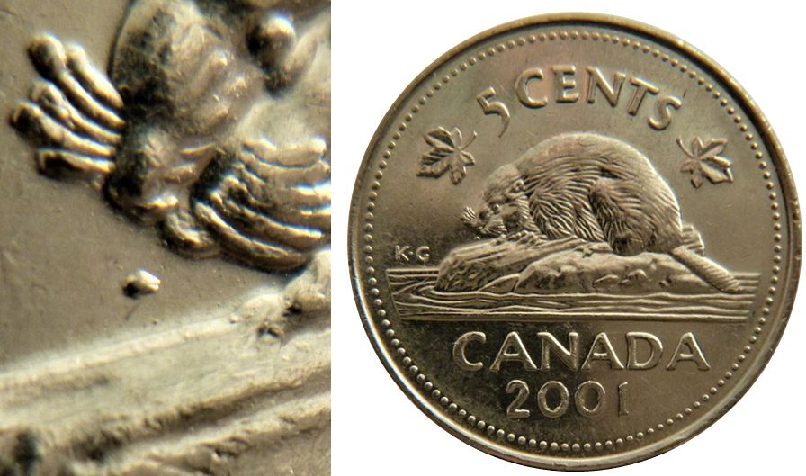5 Cents 2001-Point devant le nez du castor-1.JPG