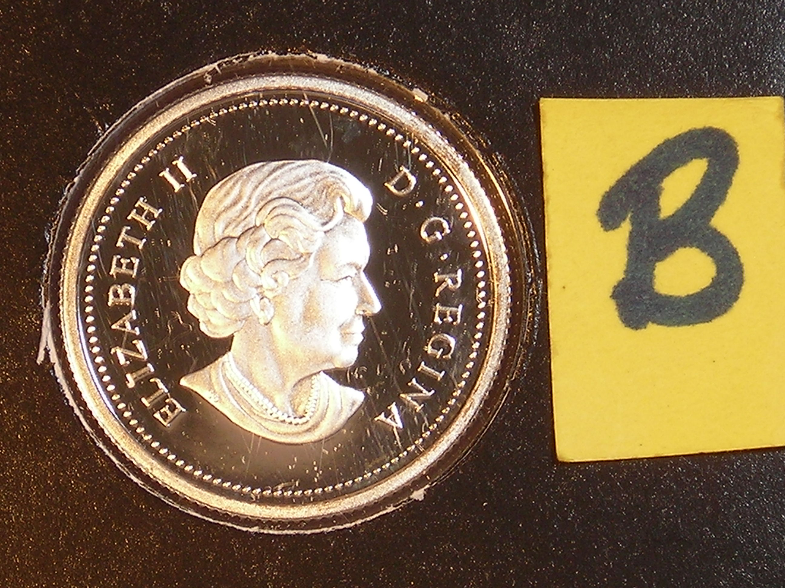 DSCN9550.JPG