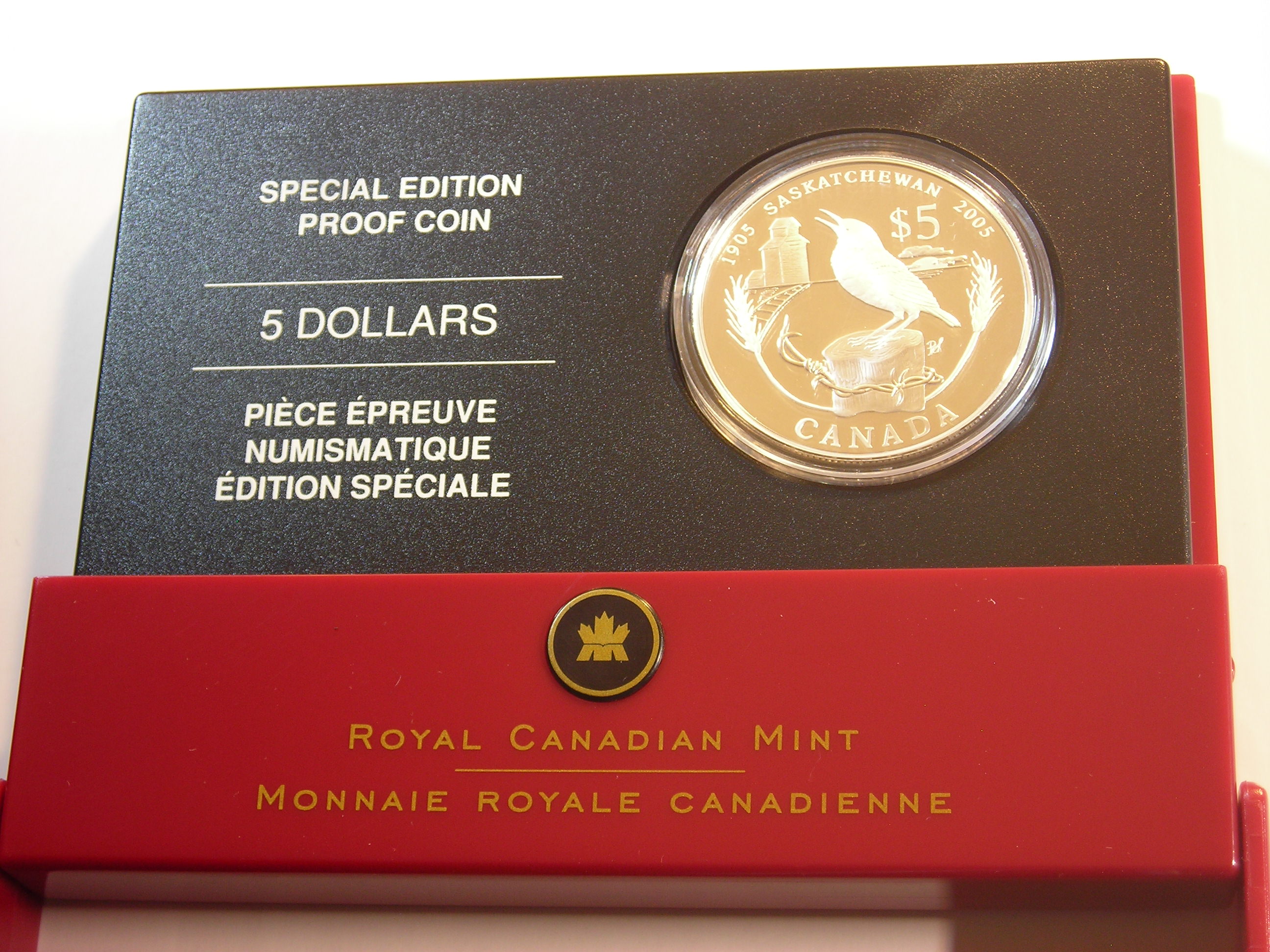 DSCN9623.JPG