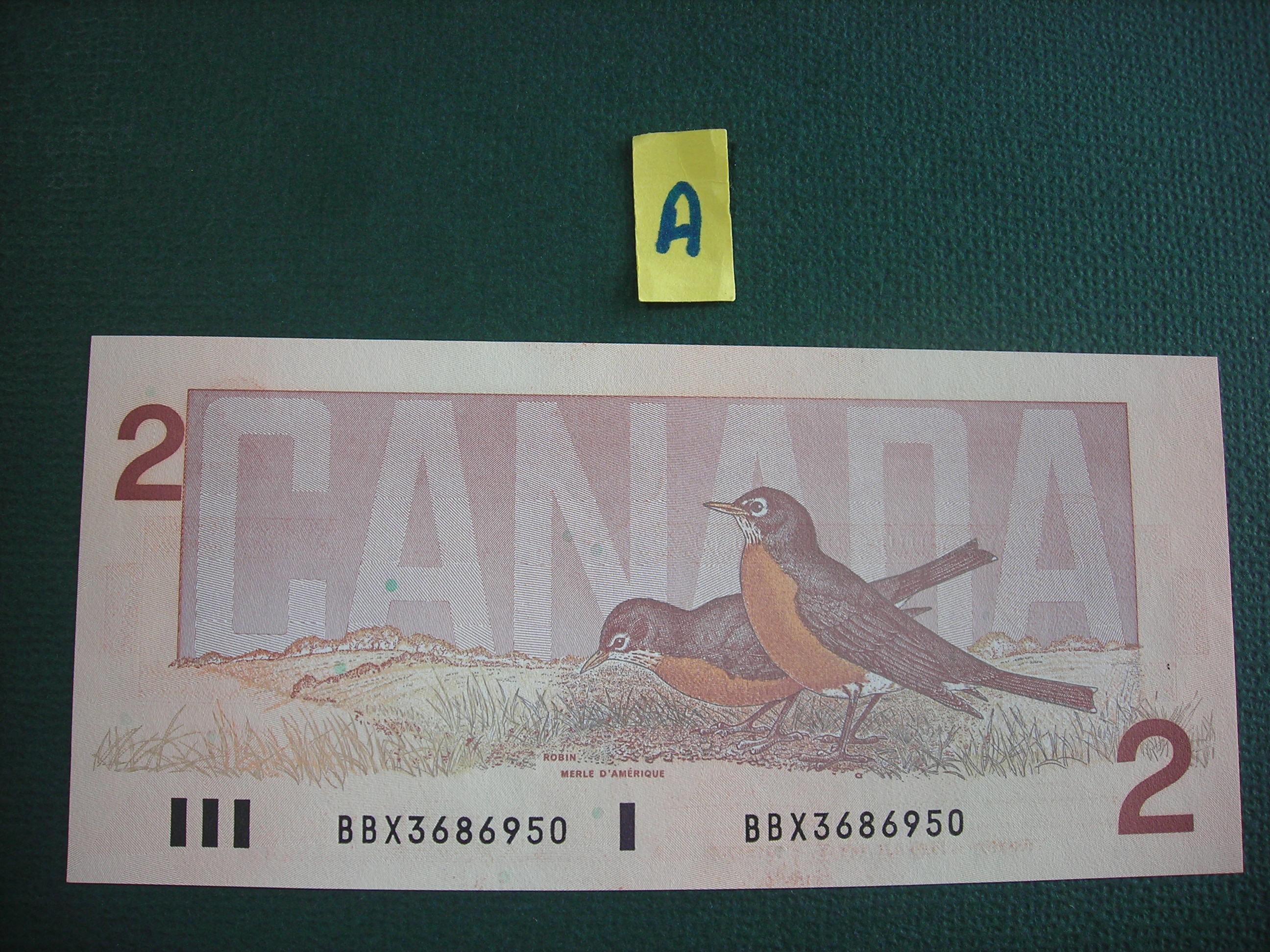 DSCN9646.JPG