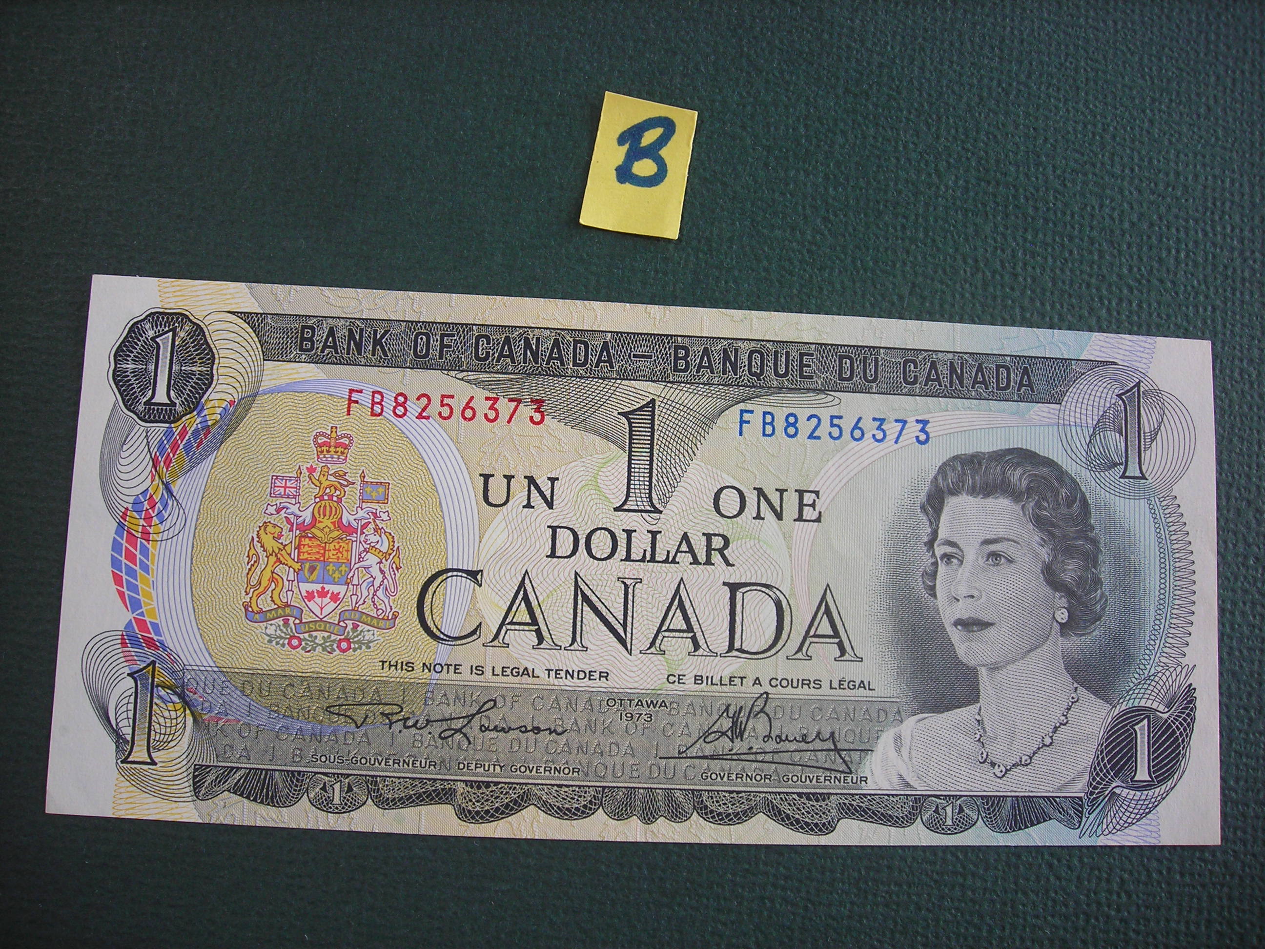 DSCN9648.JPG