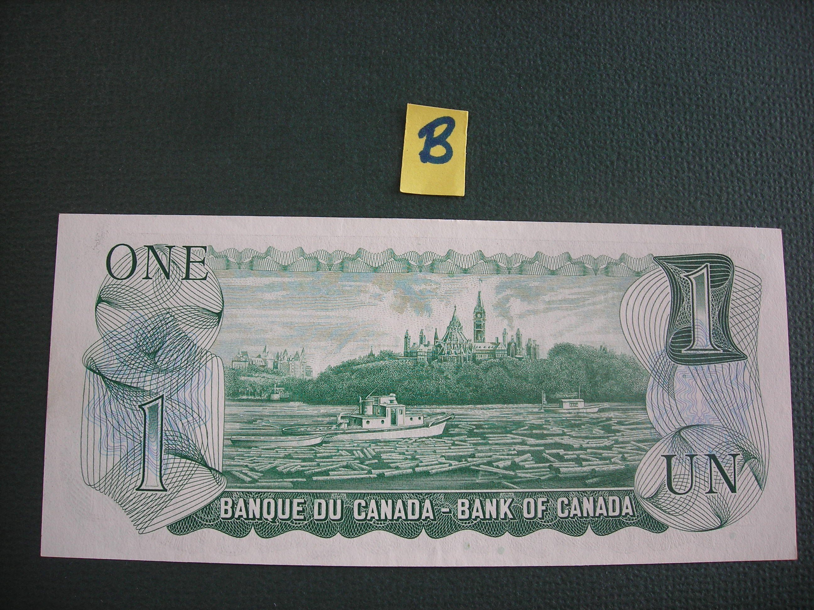 DSCN9649.JPG