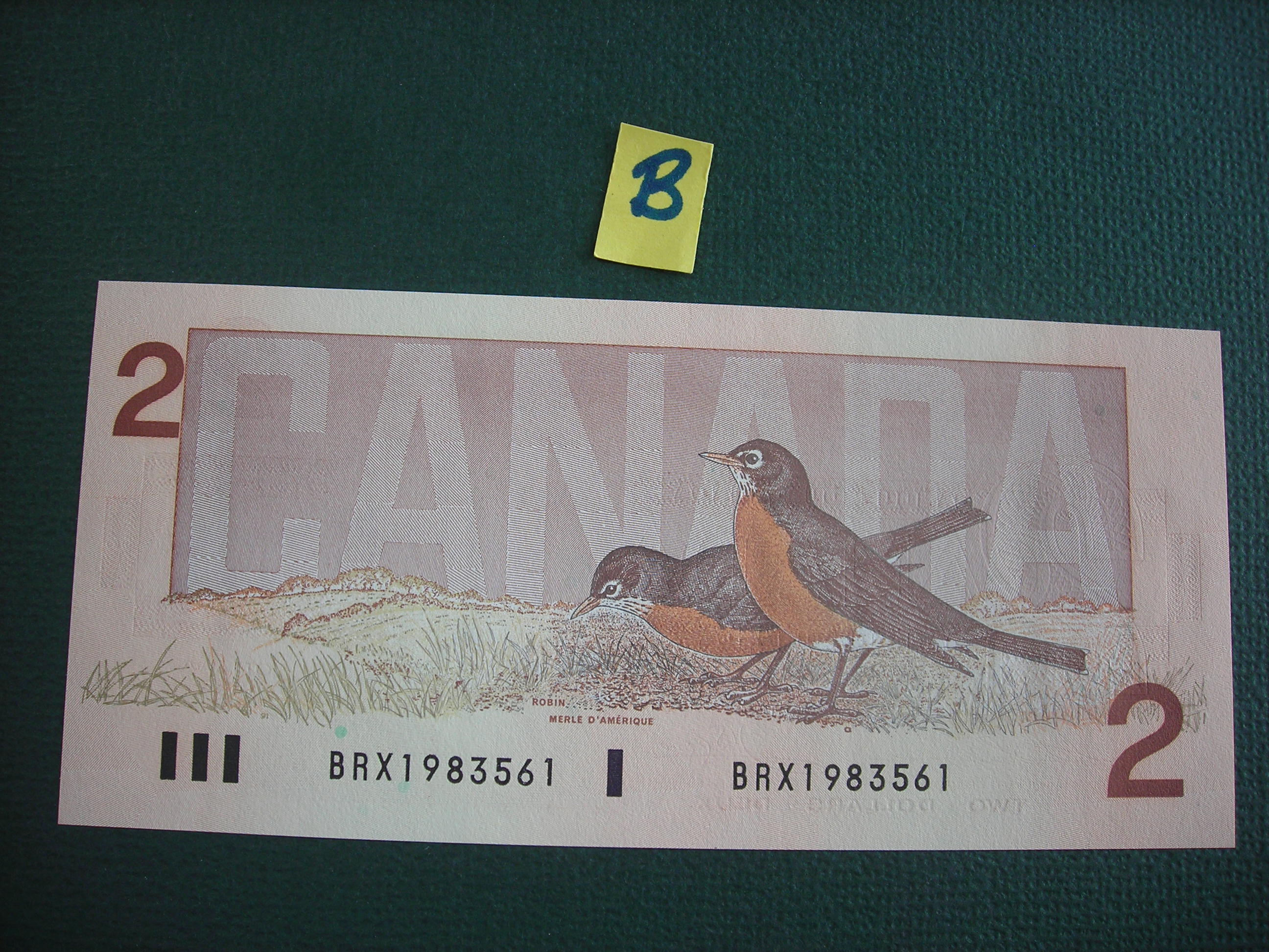 DSCN9650.JPG