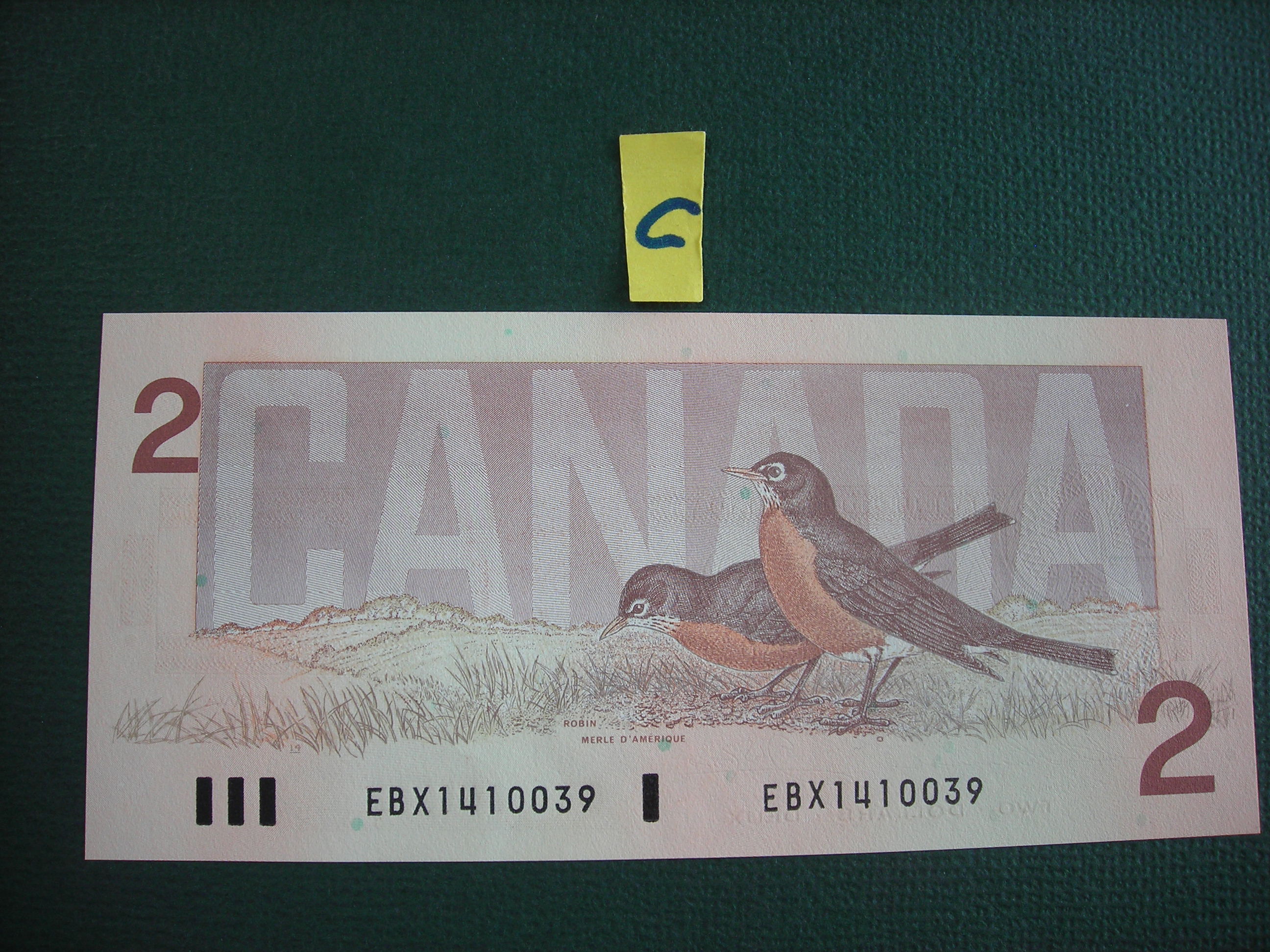 DSCN9655.JPG
