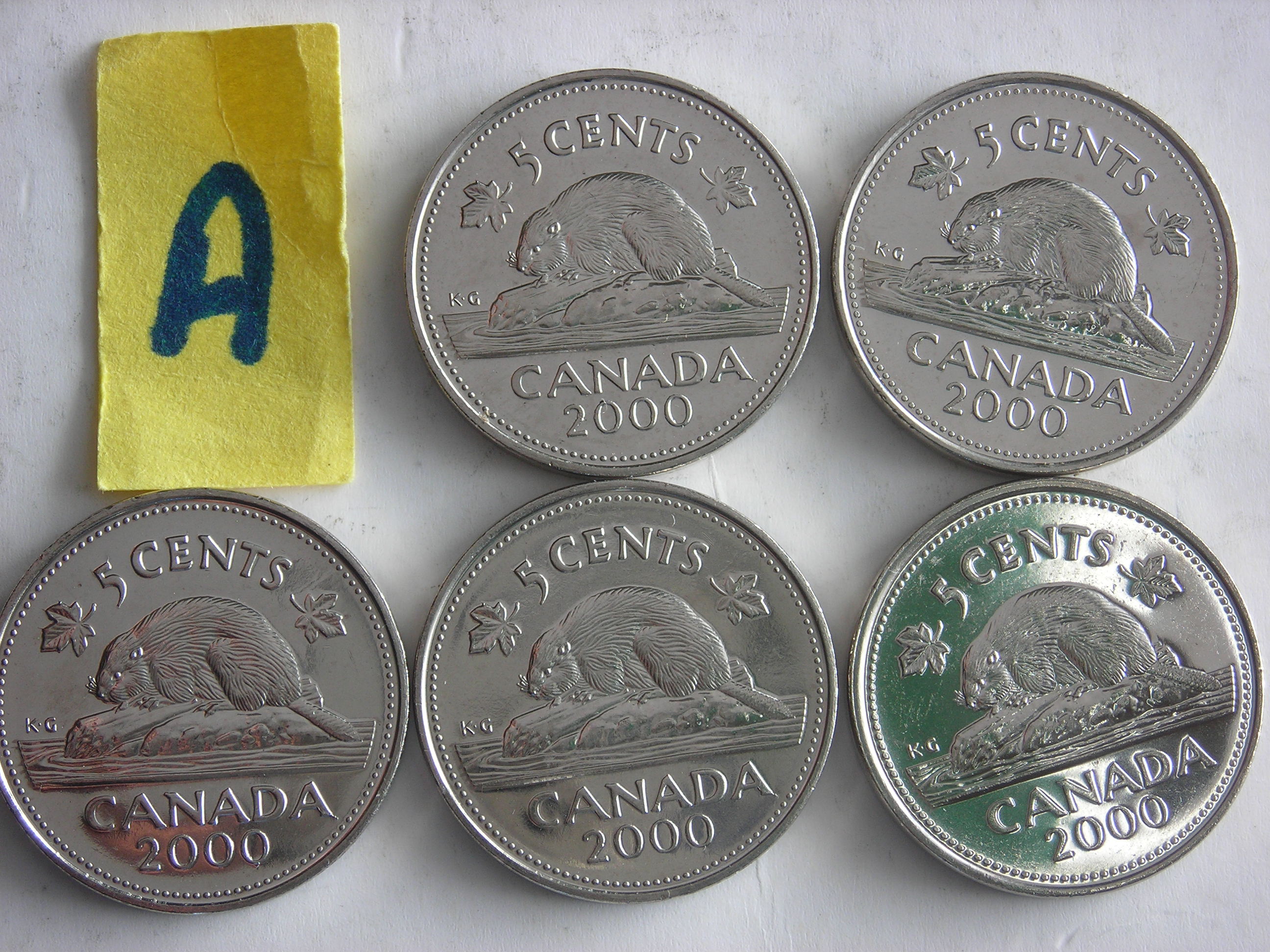DSCN9710.JPG