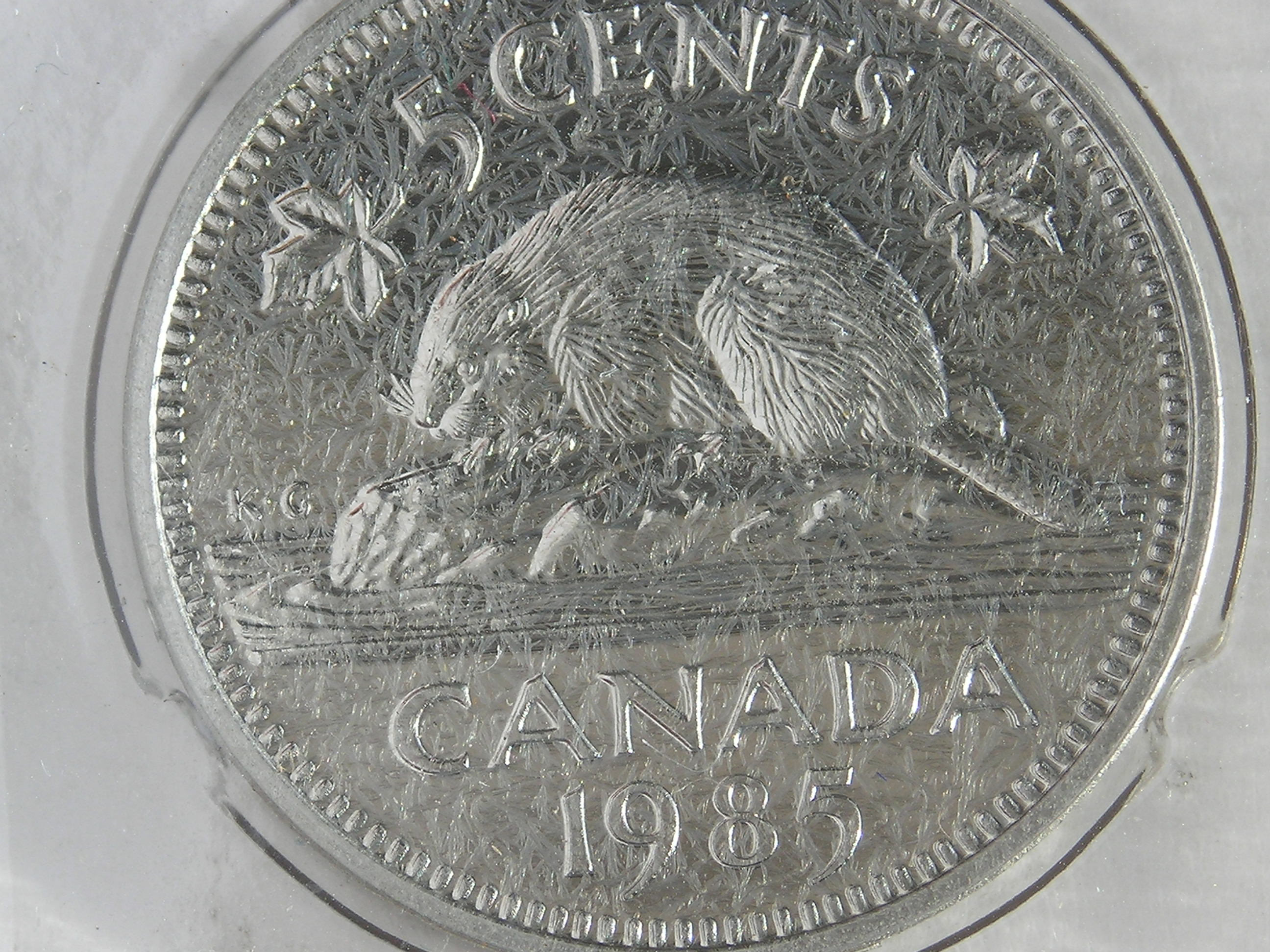 DSCN9765.JPG