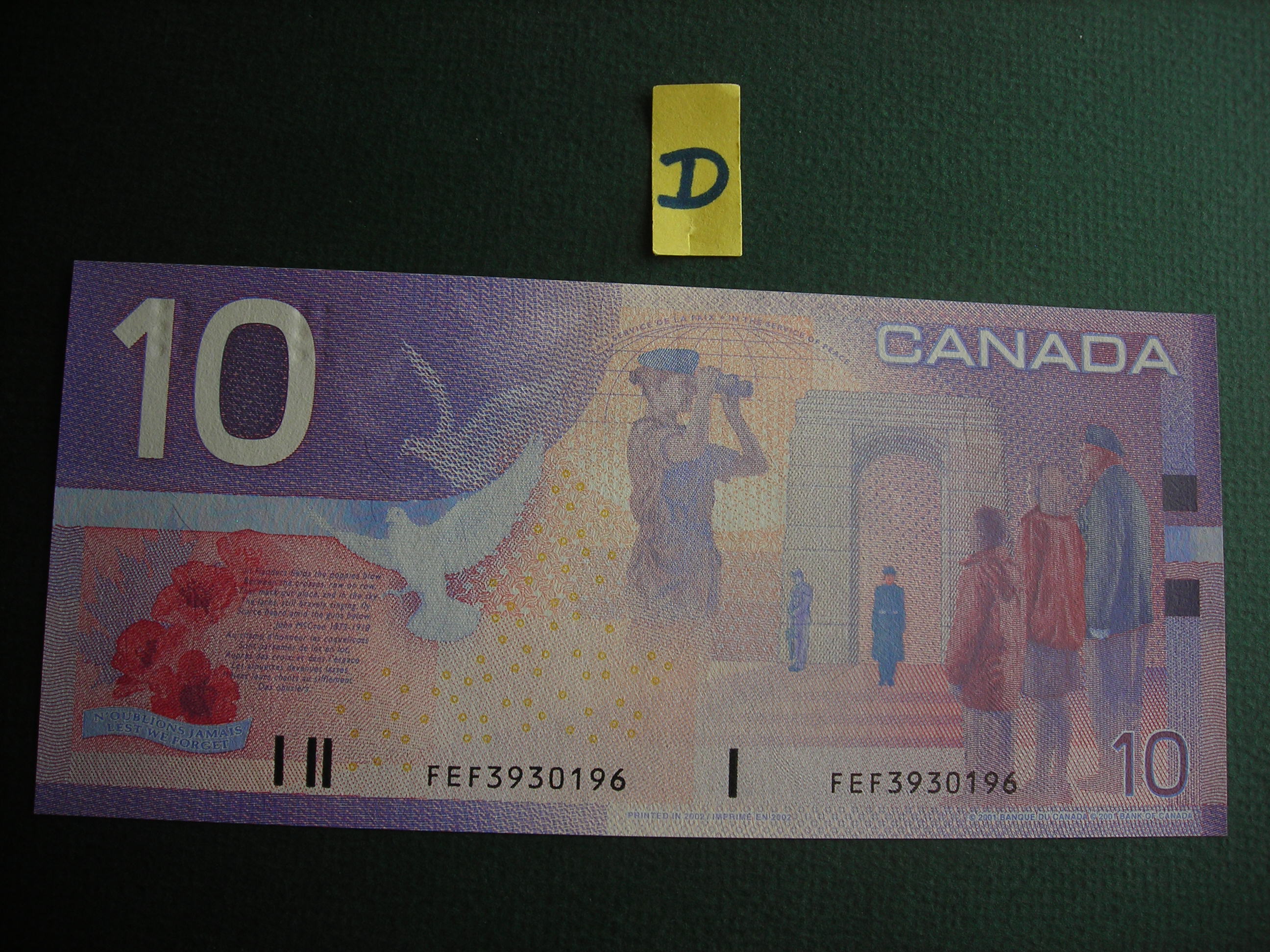 DSCN9800.JPG
