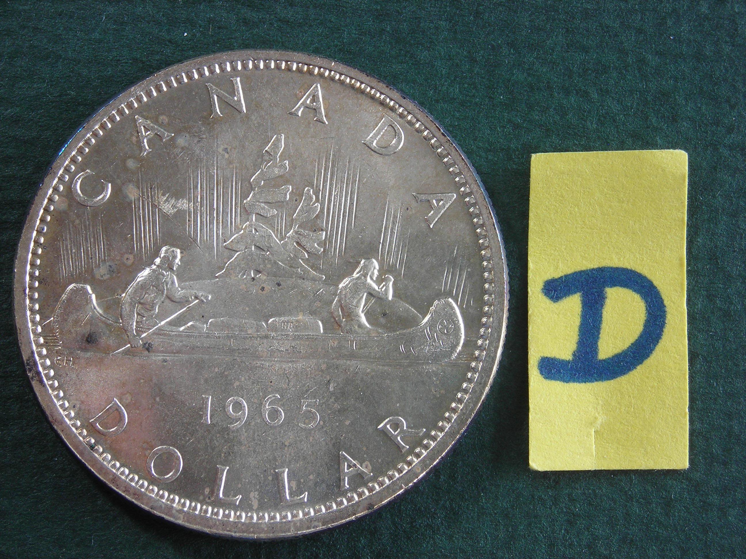 DSCN9842.JPG