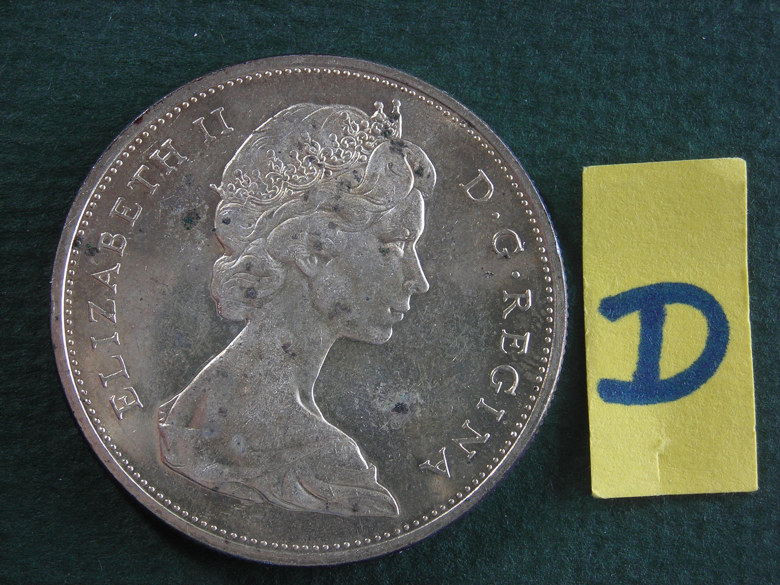 DSCN9843.JPG