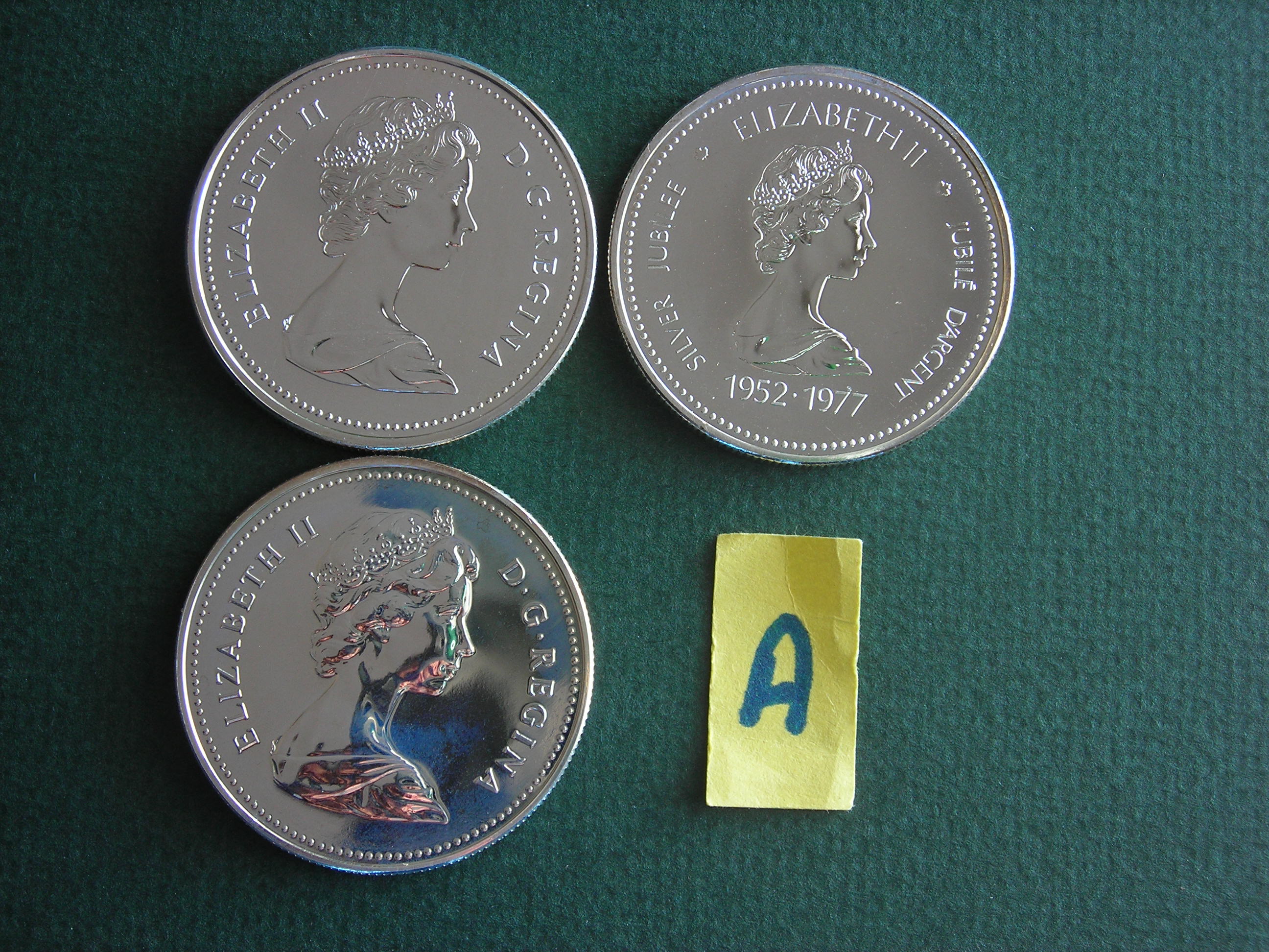 DSCN9873.JPG