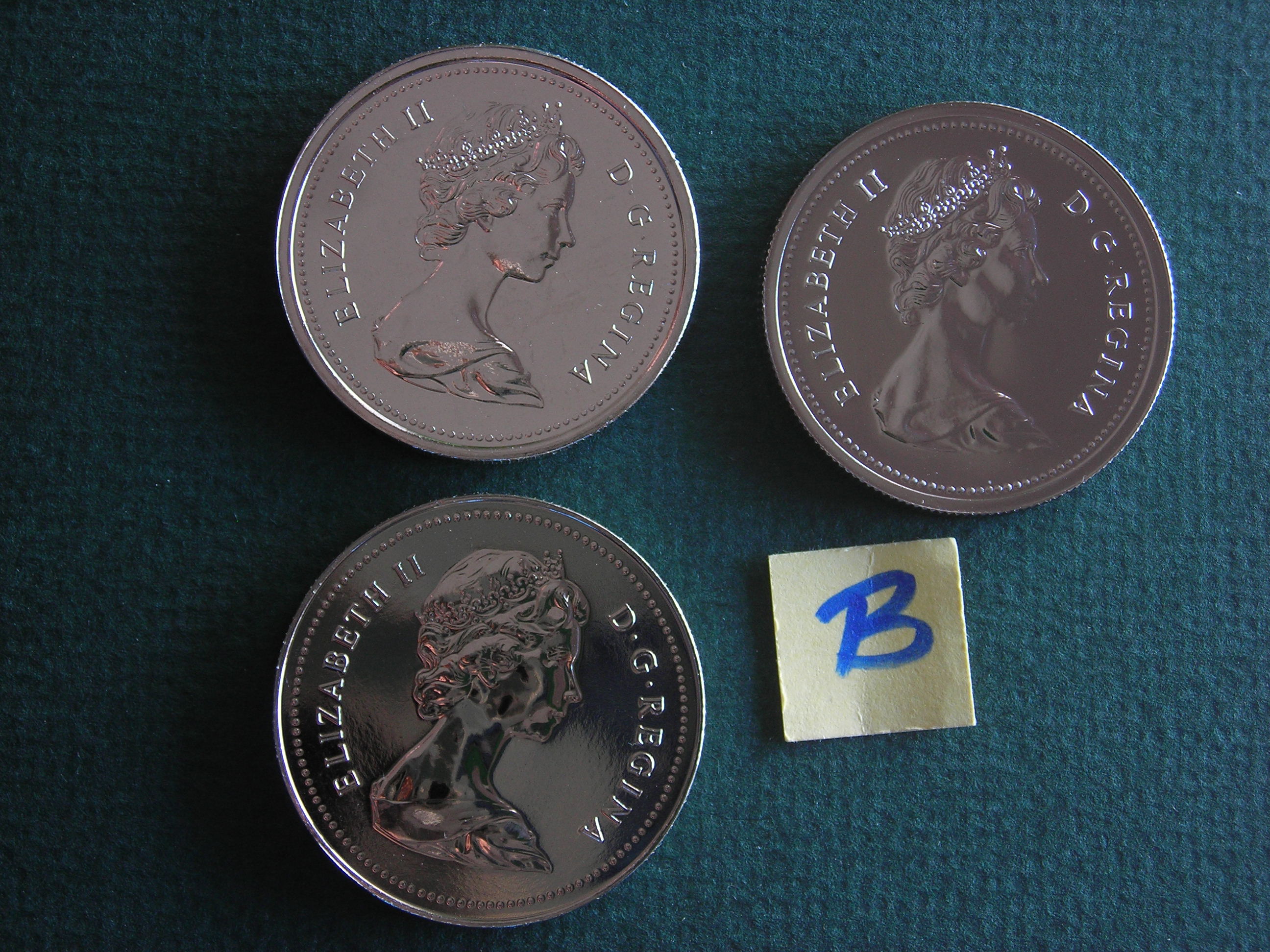 DSCN9875.JPG