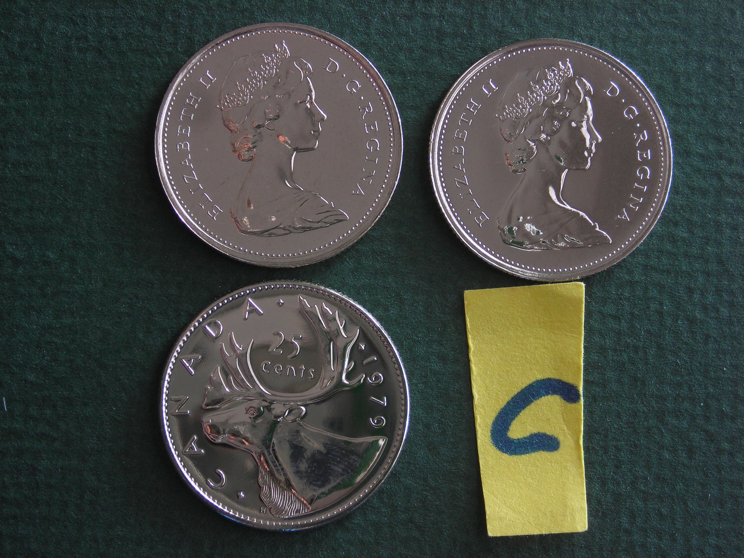 DSCN9879.JPG