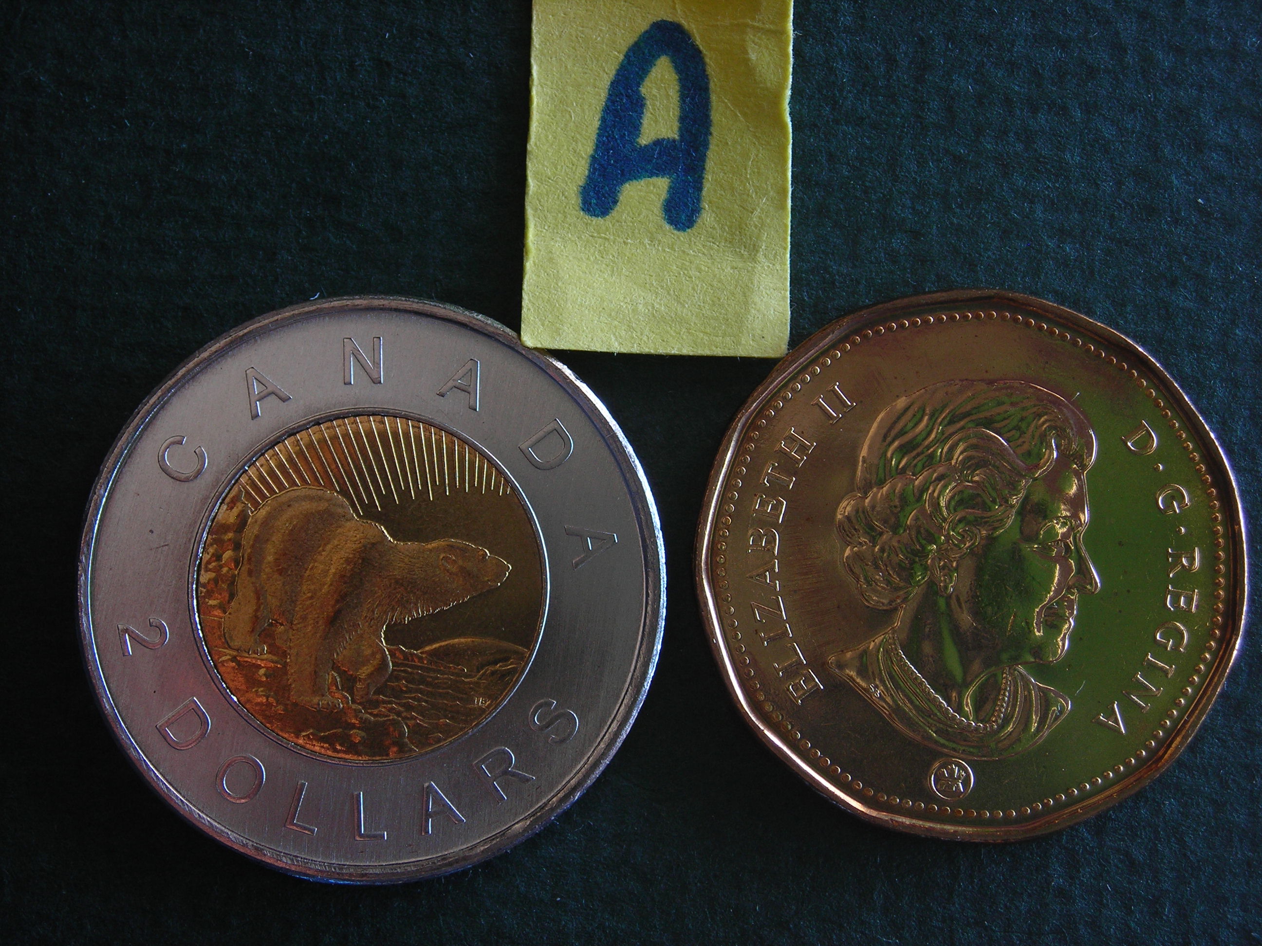 DSCN9908.JPG