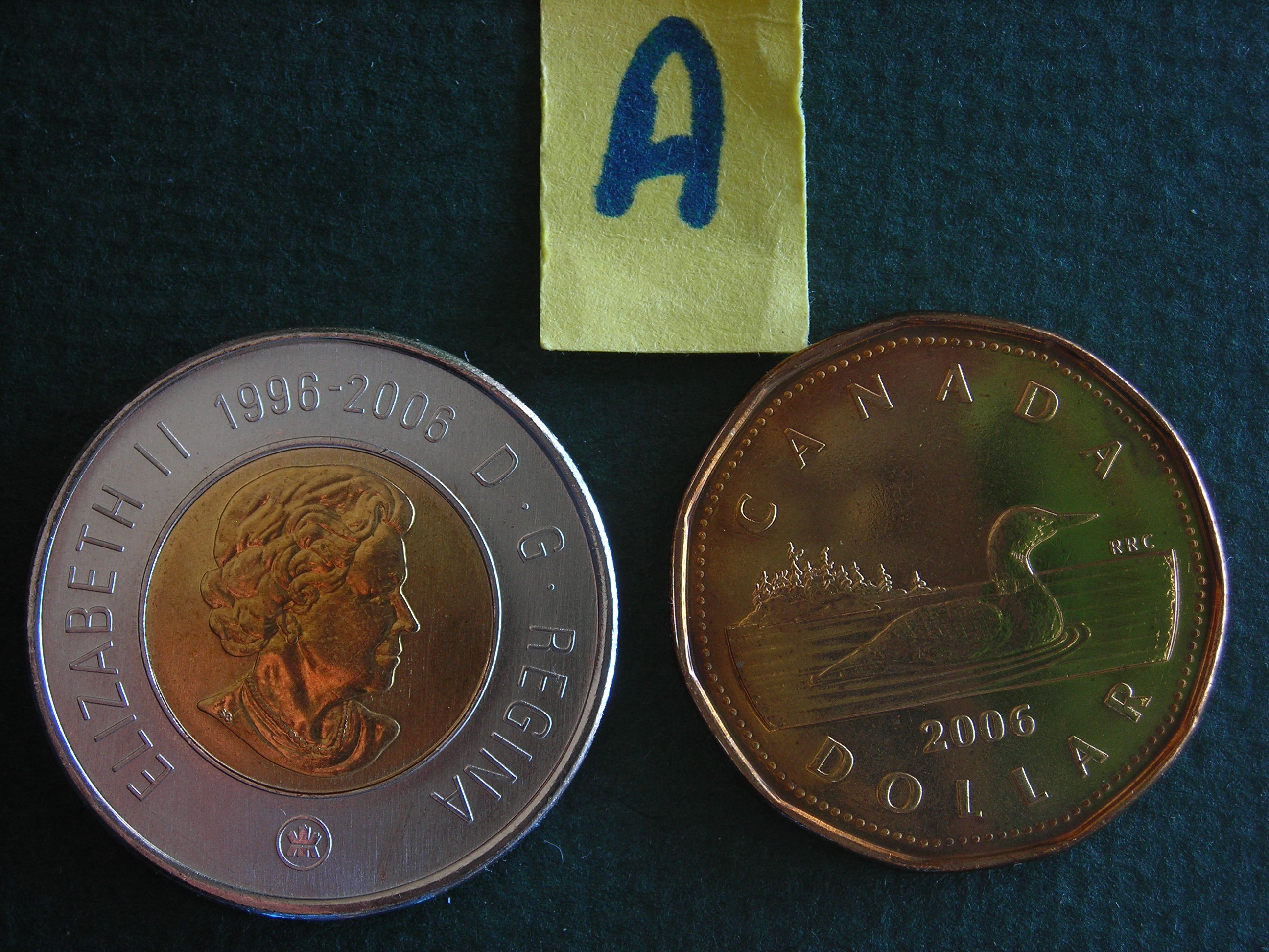 DSCN9909.JPG