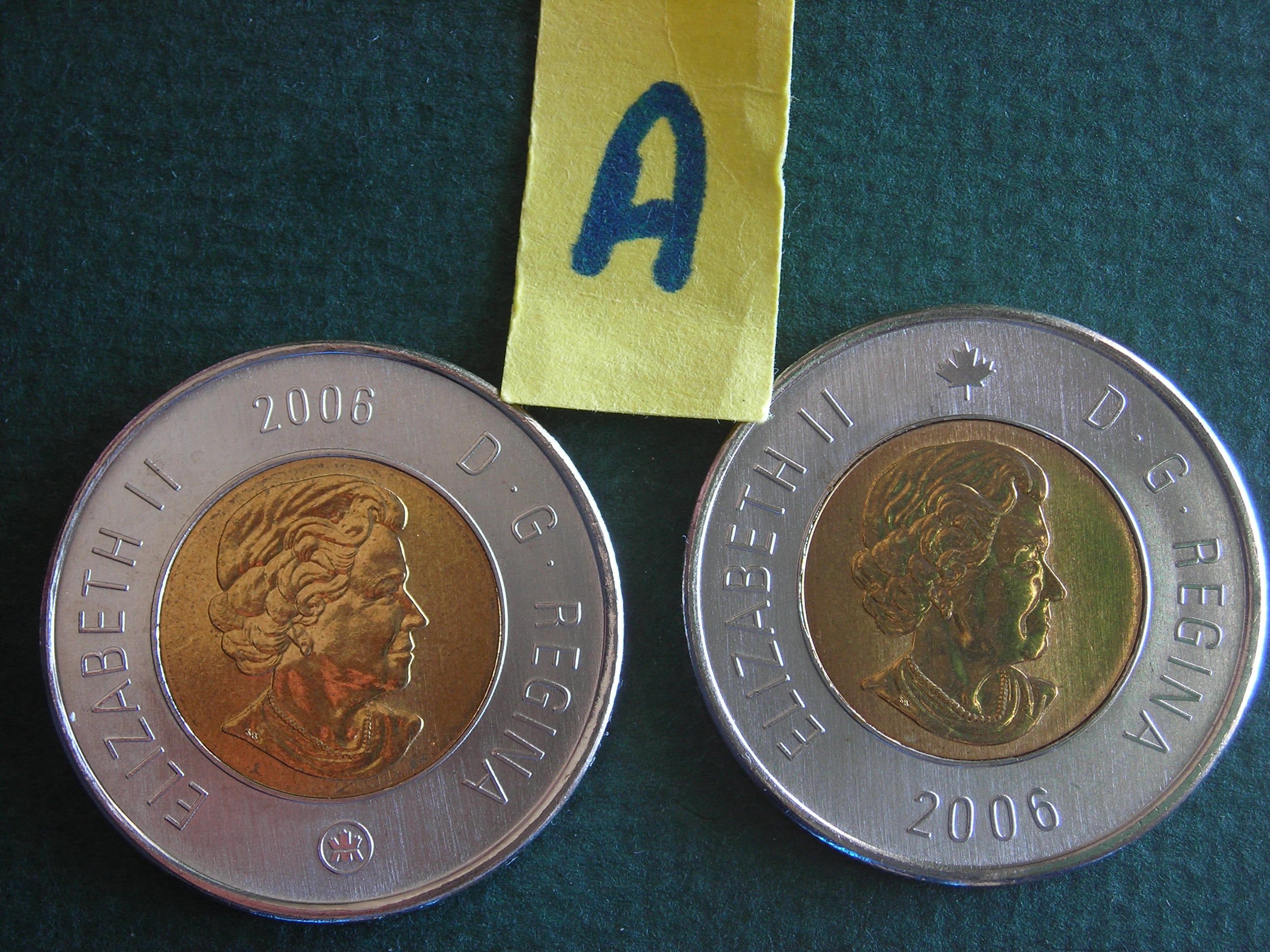 DSCN9910.JPG