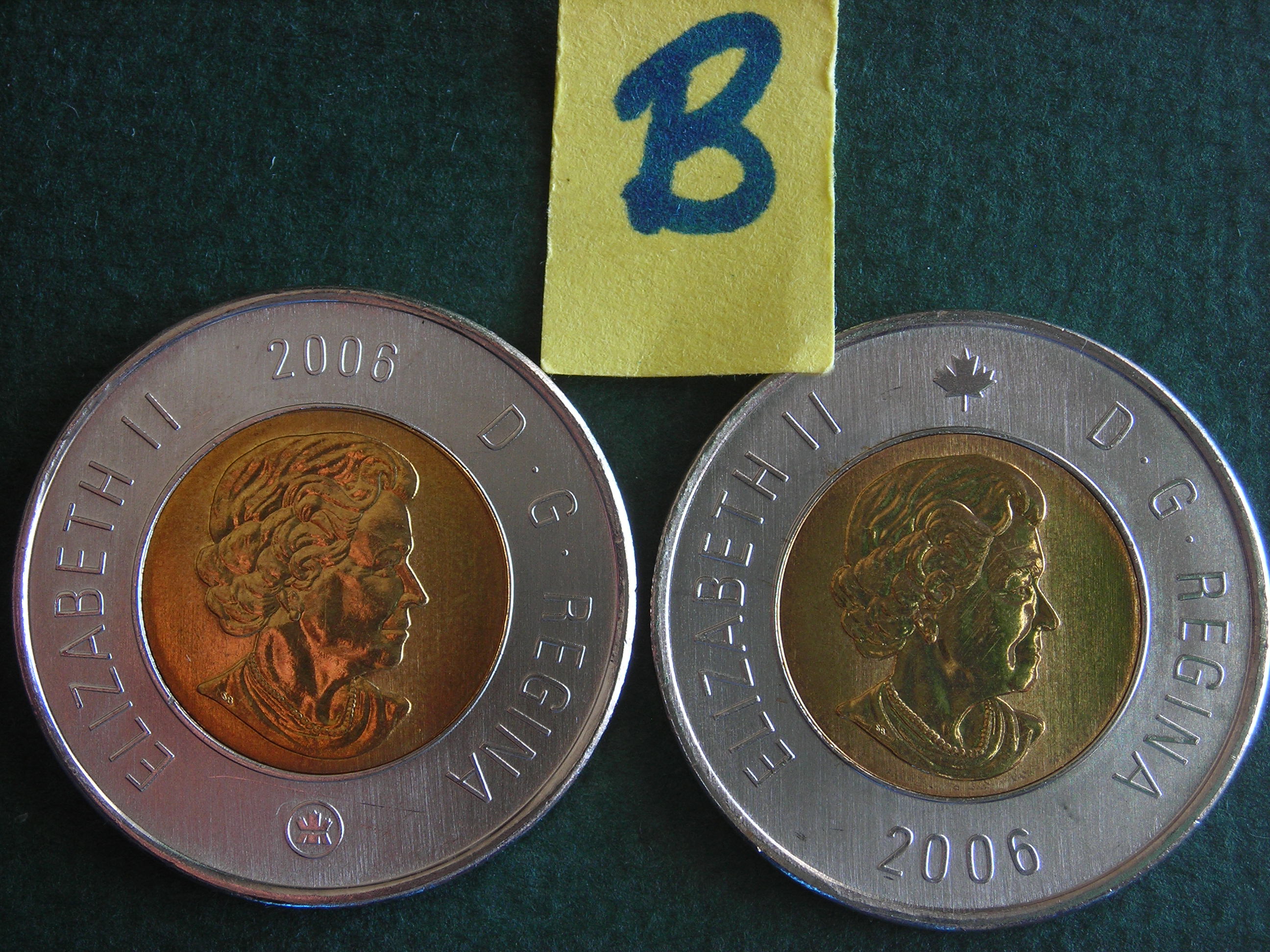 DSCN9915.JPG