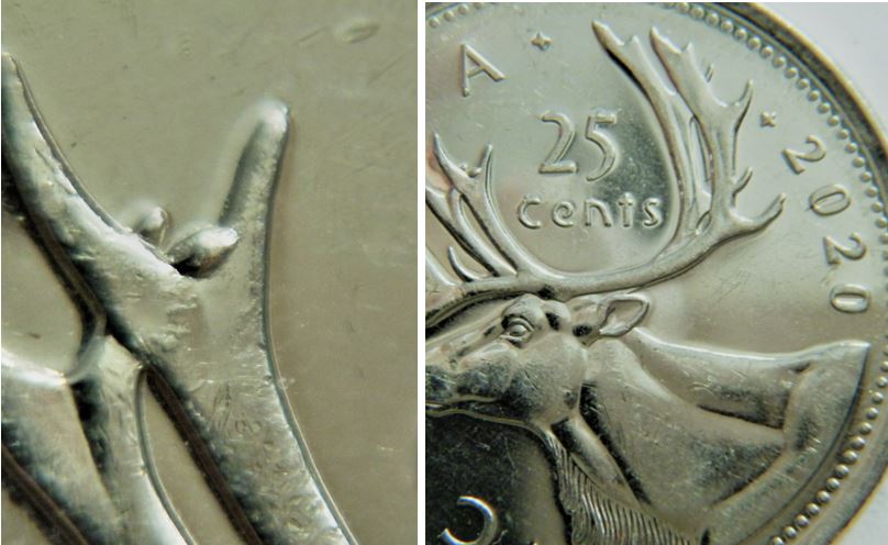 25 Cents 2020-Éclat coin entre les bois avent du caribou-1.JPG