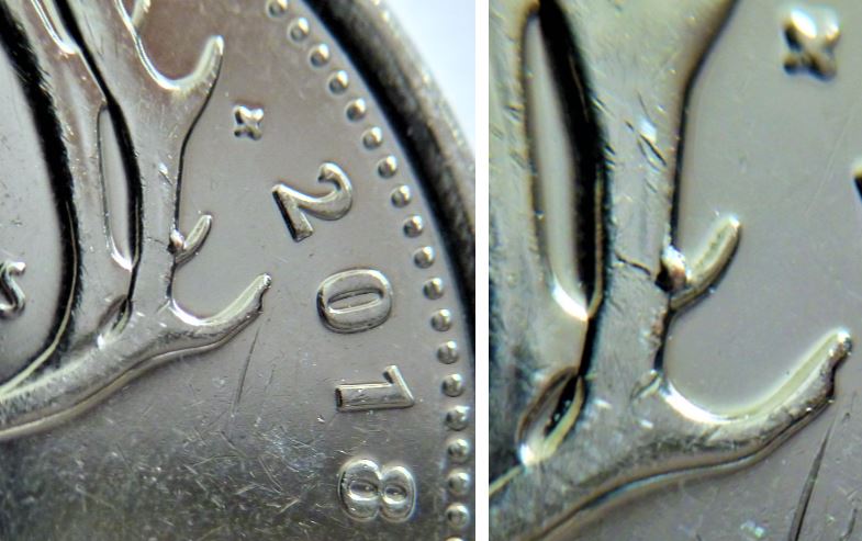 25 Cents 2018-Éclat du coin sur les bois arrière du caribou-1.JPG