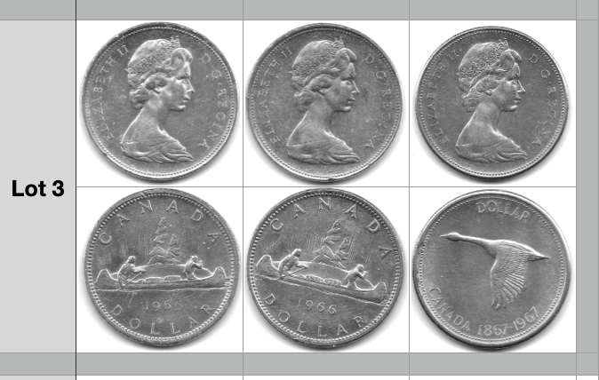 Pièces de $ 1,00 - Lot 3.png