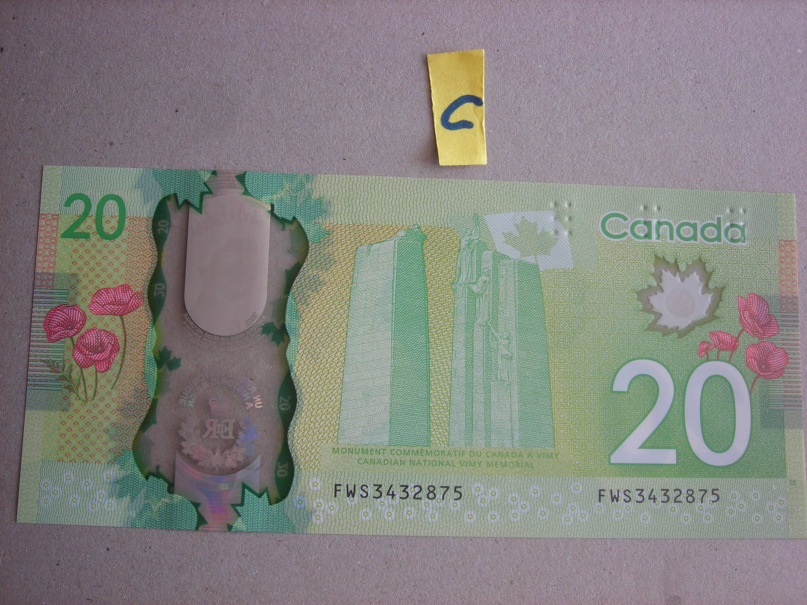 DSCN9987.JPG