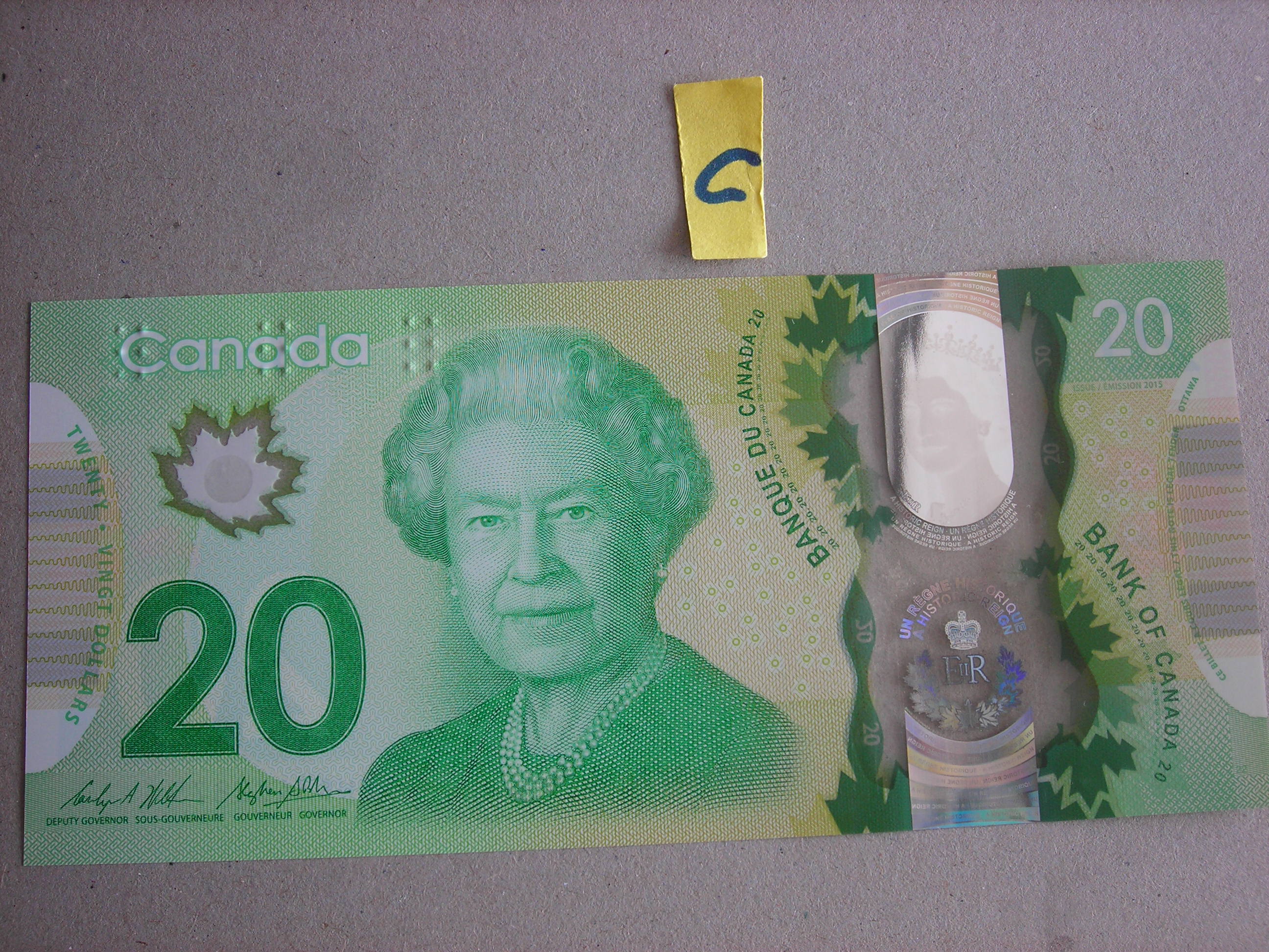 DSCN9988.JPG