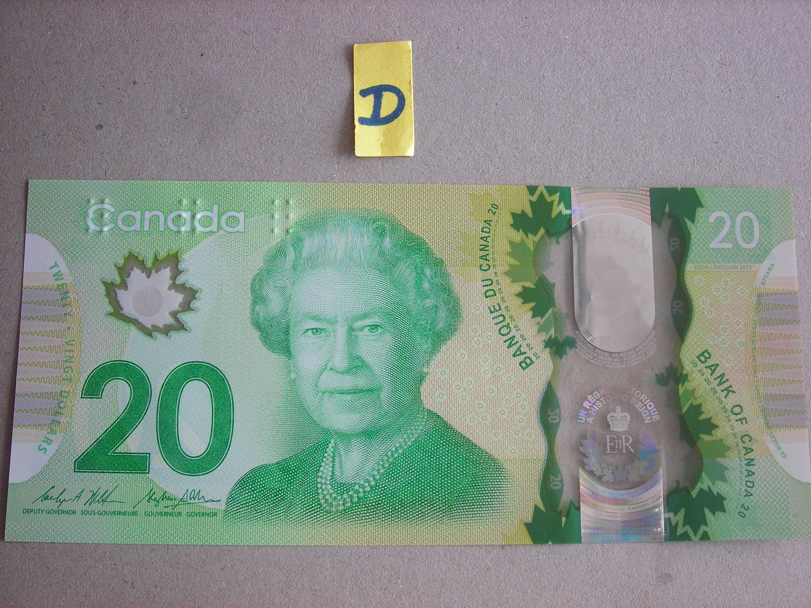 DSCN9990.JPG