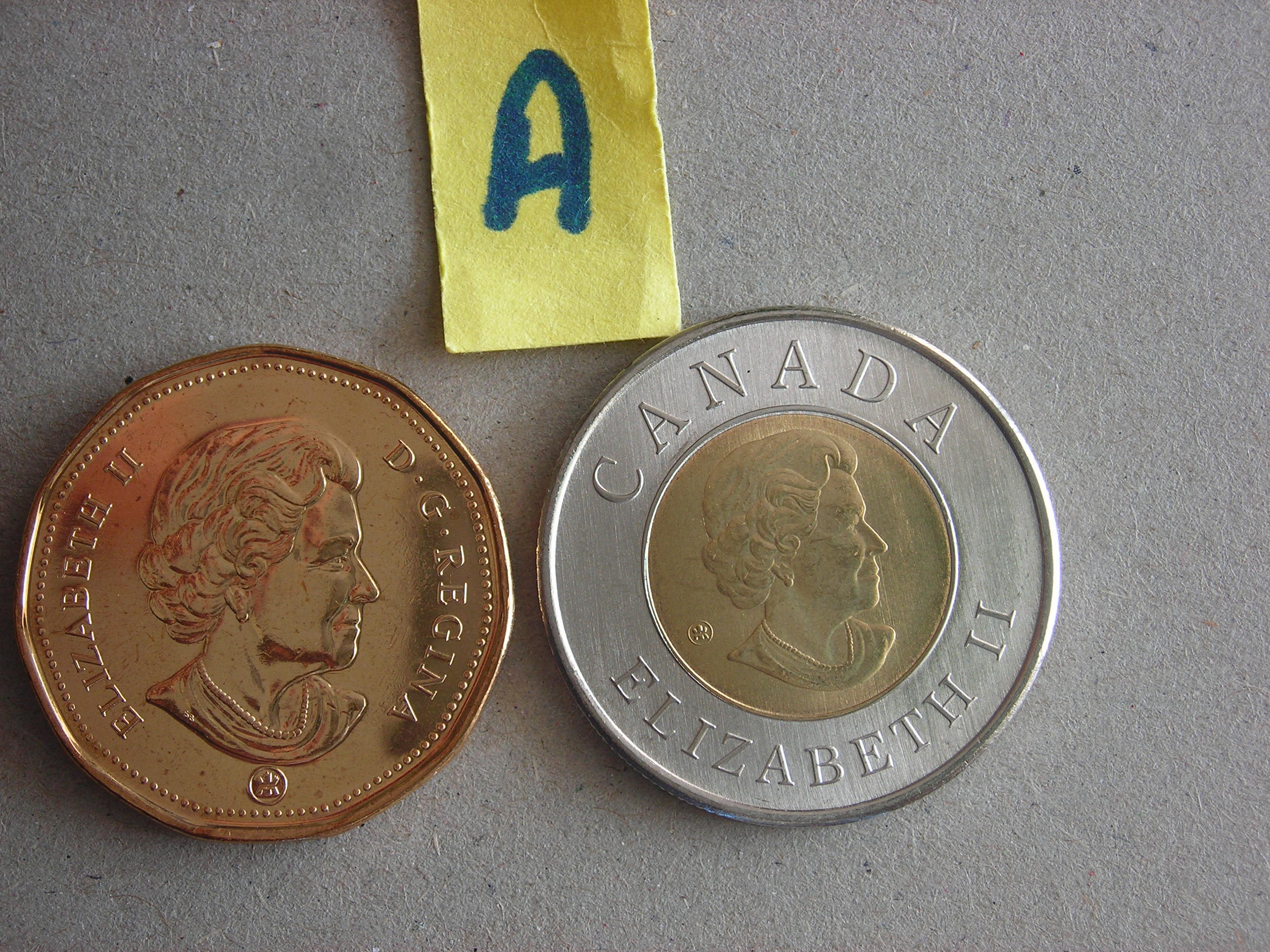 DSCN9994.JPG