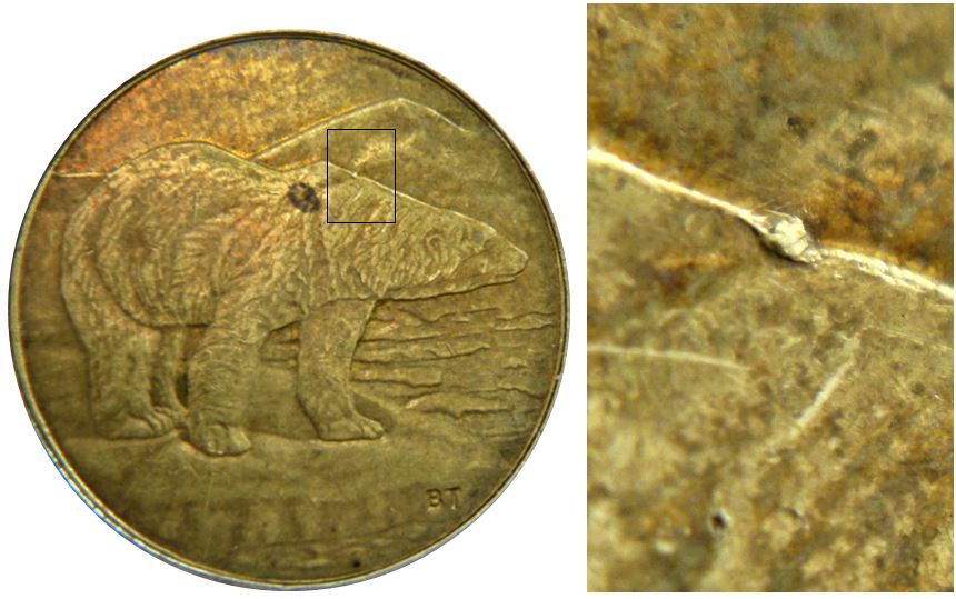 2 Dollars 2016-Éclat coin sur dos du castor-2.JPG