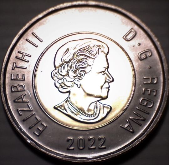 50420.jpg