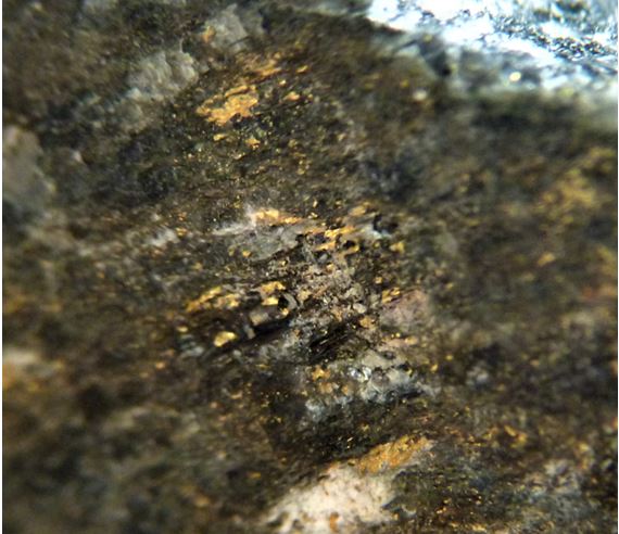Roche d'or-3 Août 2023- quartz et tourmaline-6.JPG