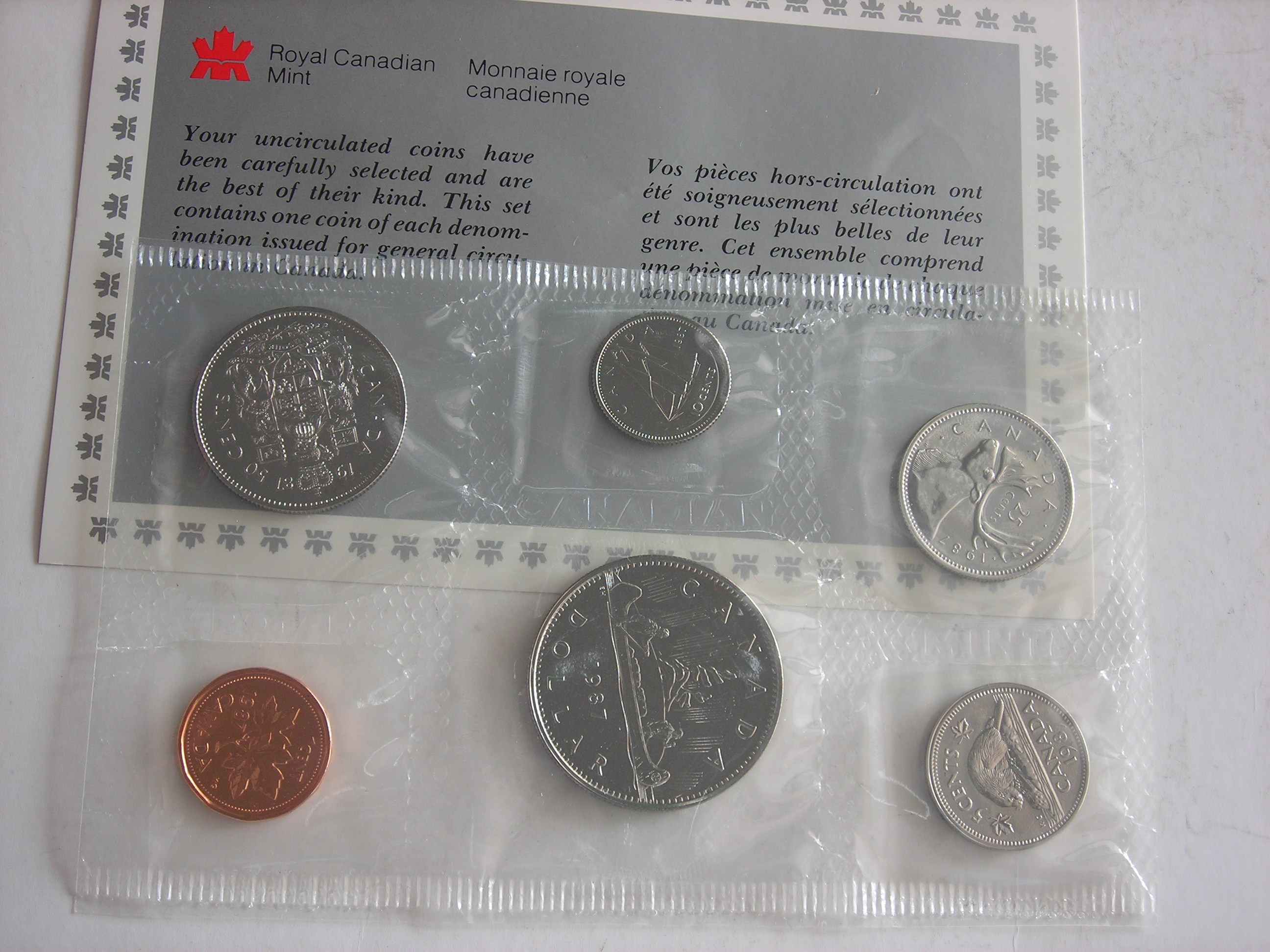 DSCN0115 - Copie.JPG