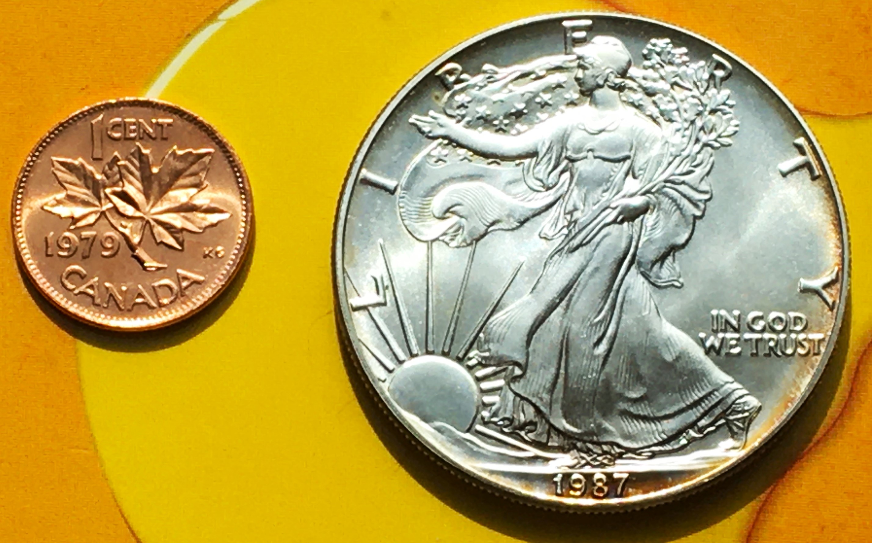 1 dollar 1987 1 oz.JPG