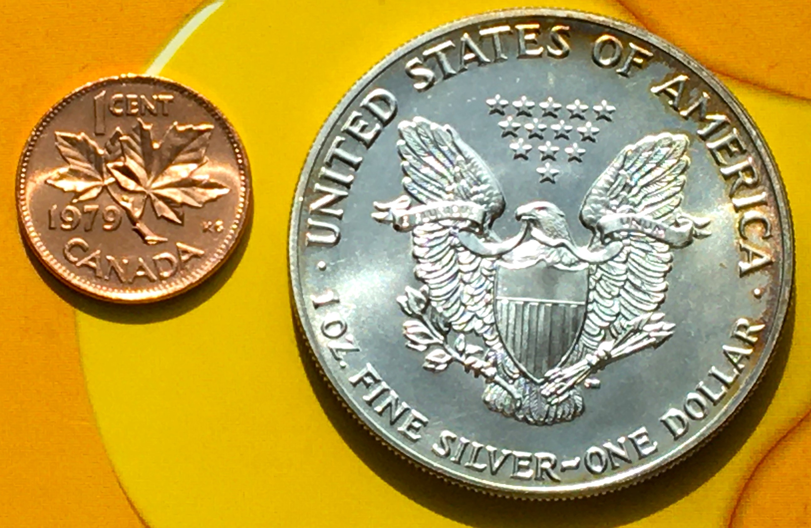 1 dollar 1987 1 oz revers.JPG