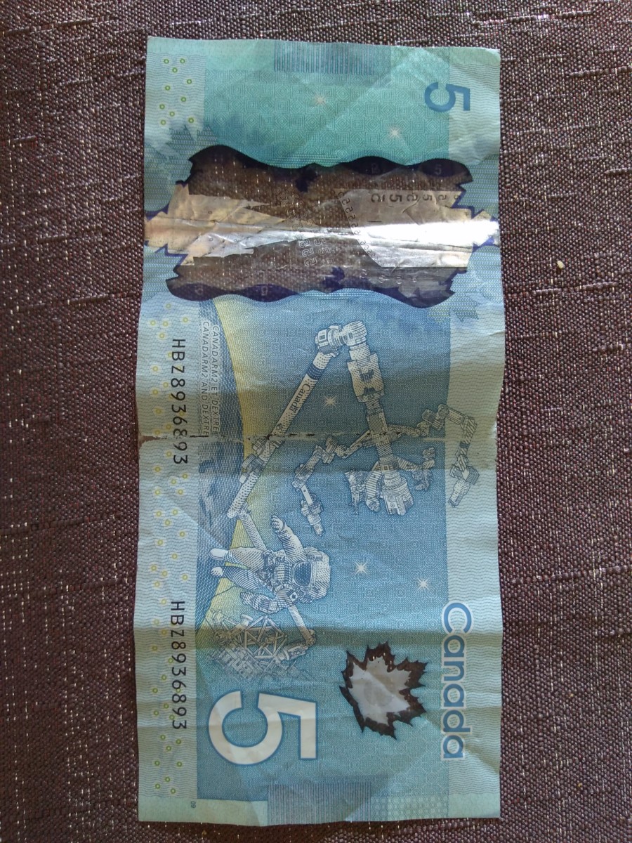 5$3.jpg