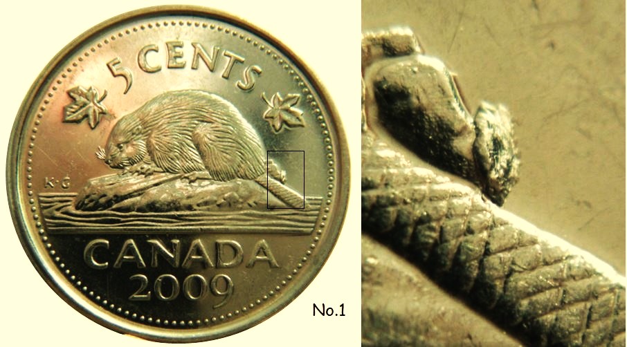 5 Cents 2009-Grosse Éclat coin derrière la buche-No.1.JPG