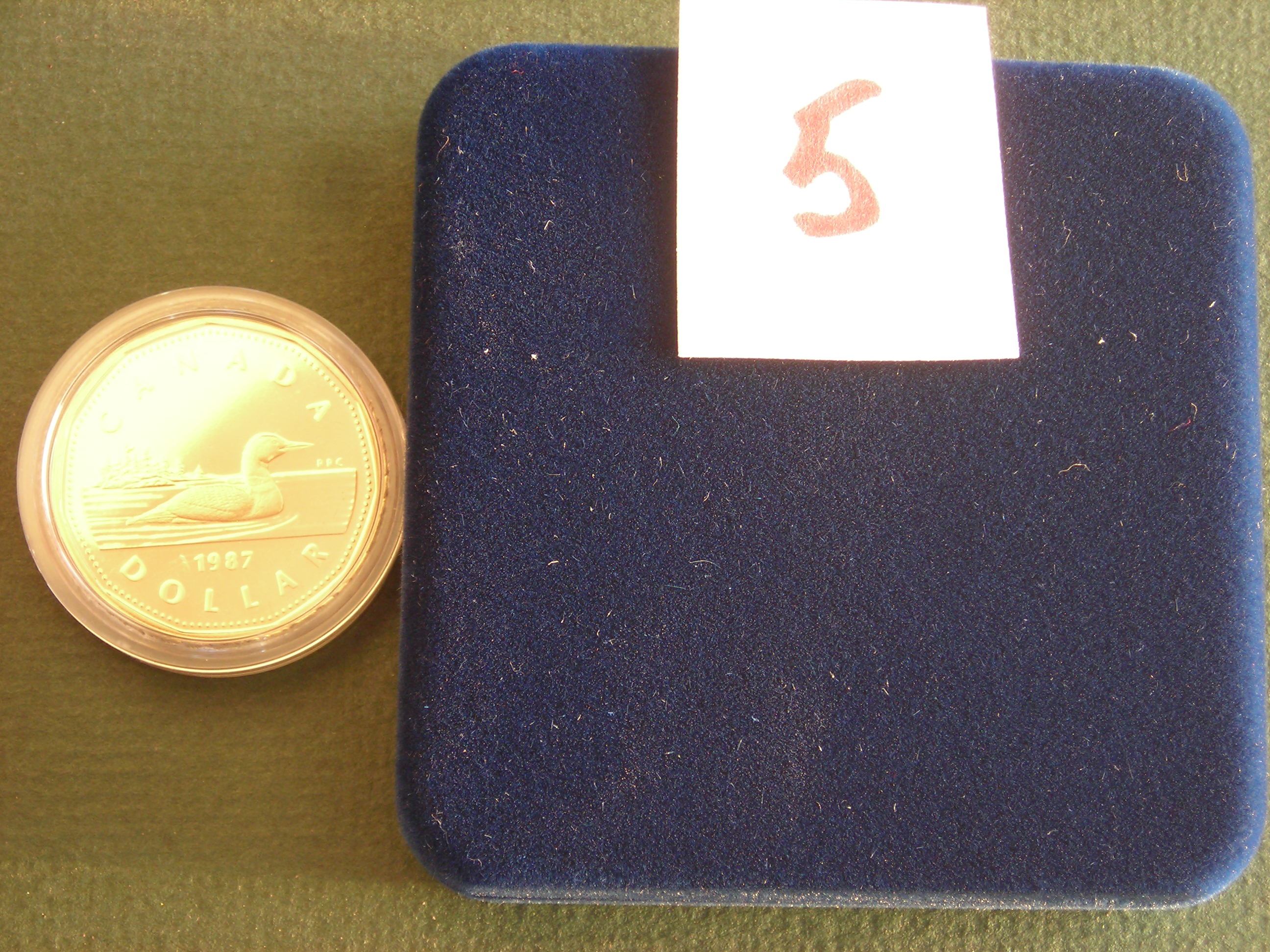 DSCN0513.JPG