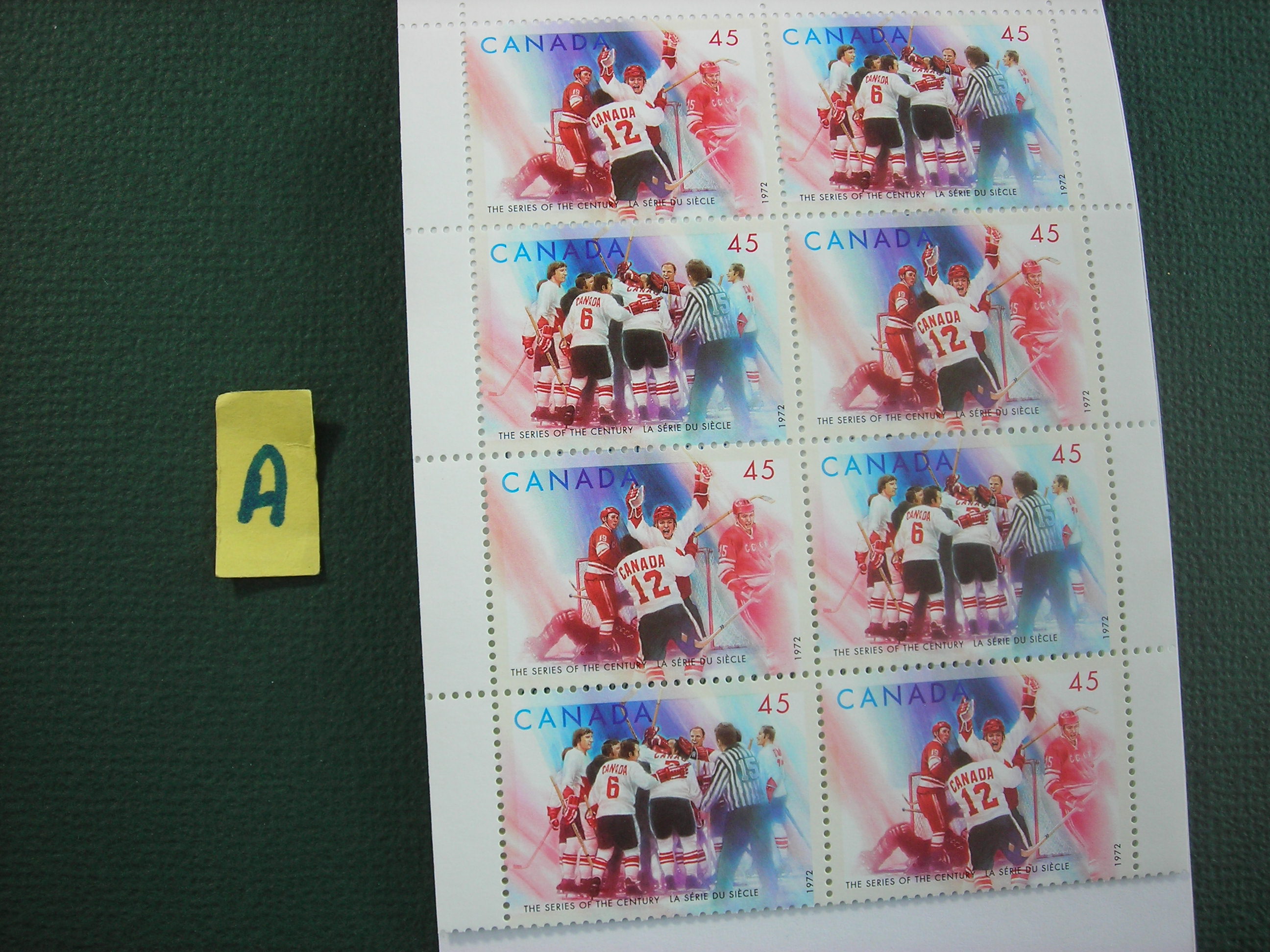 DSCN0587.JPG