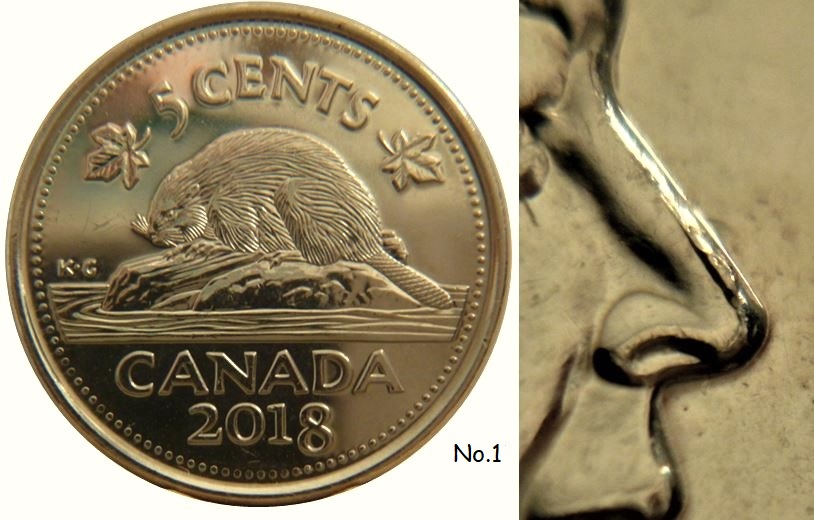 5 Cents 2018-Éclat coin sur le nez-No.1,.JPG