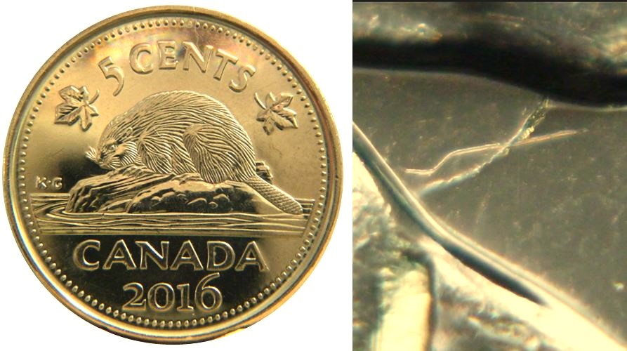 5 Cents 2016-Coin fendillé sous menton de effigie-No.1,.JPG