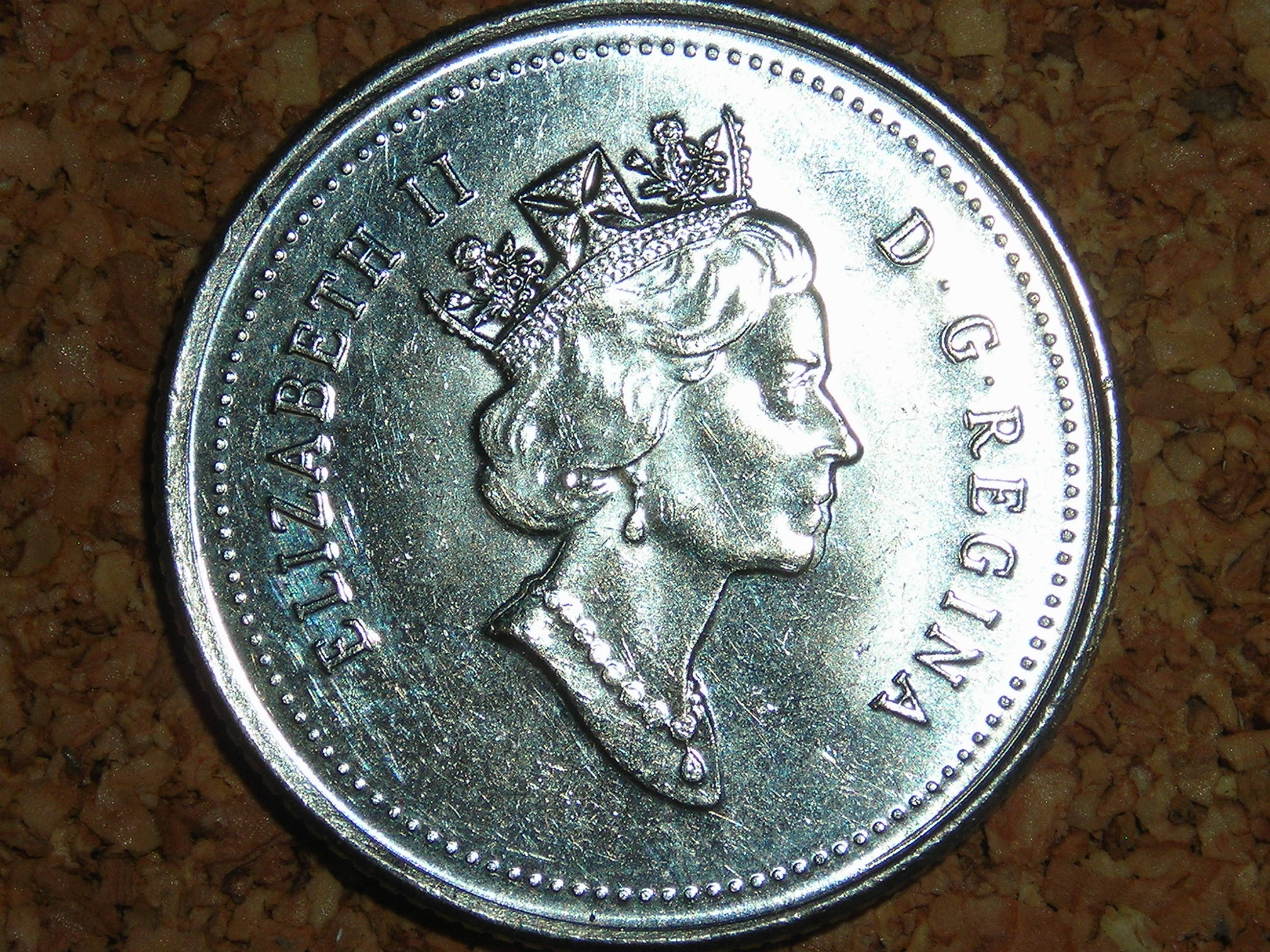 DSCN4150.JPG