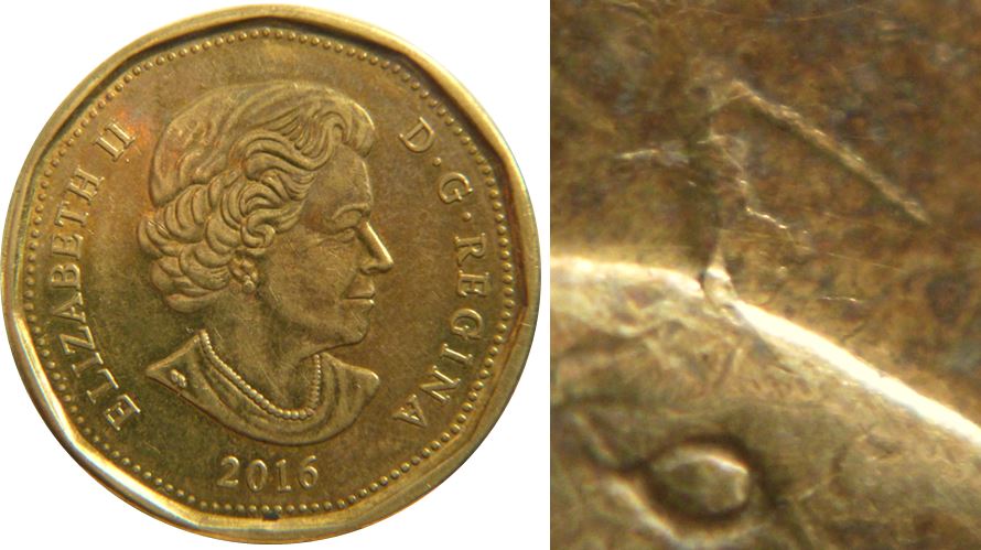 1 Dollar 2016-pinocchio sur la tête de l'oiseau-1.JPG
