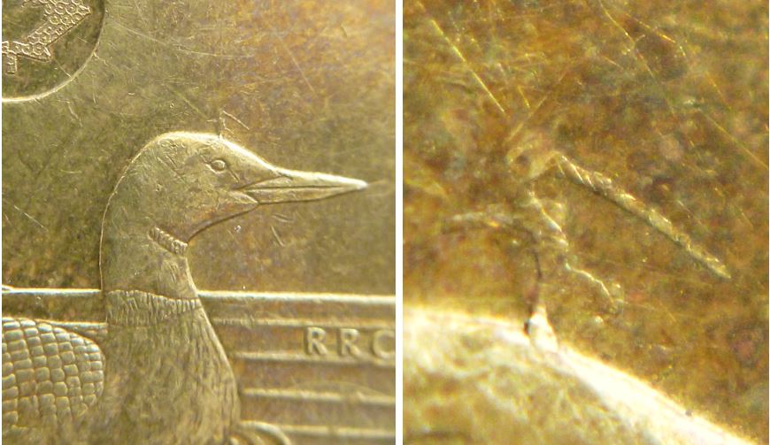 1 Dollar 2016-pinocchio sur la tête de l'oiseau-2.JPG
