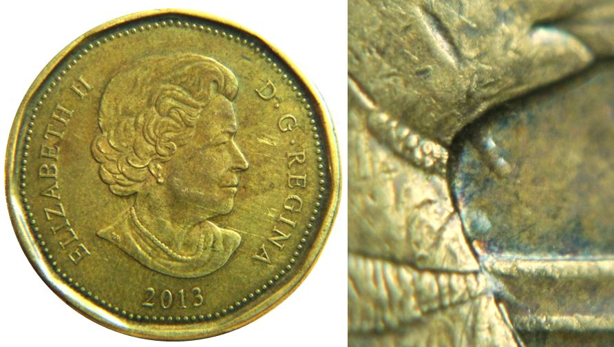 1 Dollar 2013-Petit barbillon à la gorge de l'oiseau- Éclat-1.JPG
