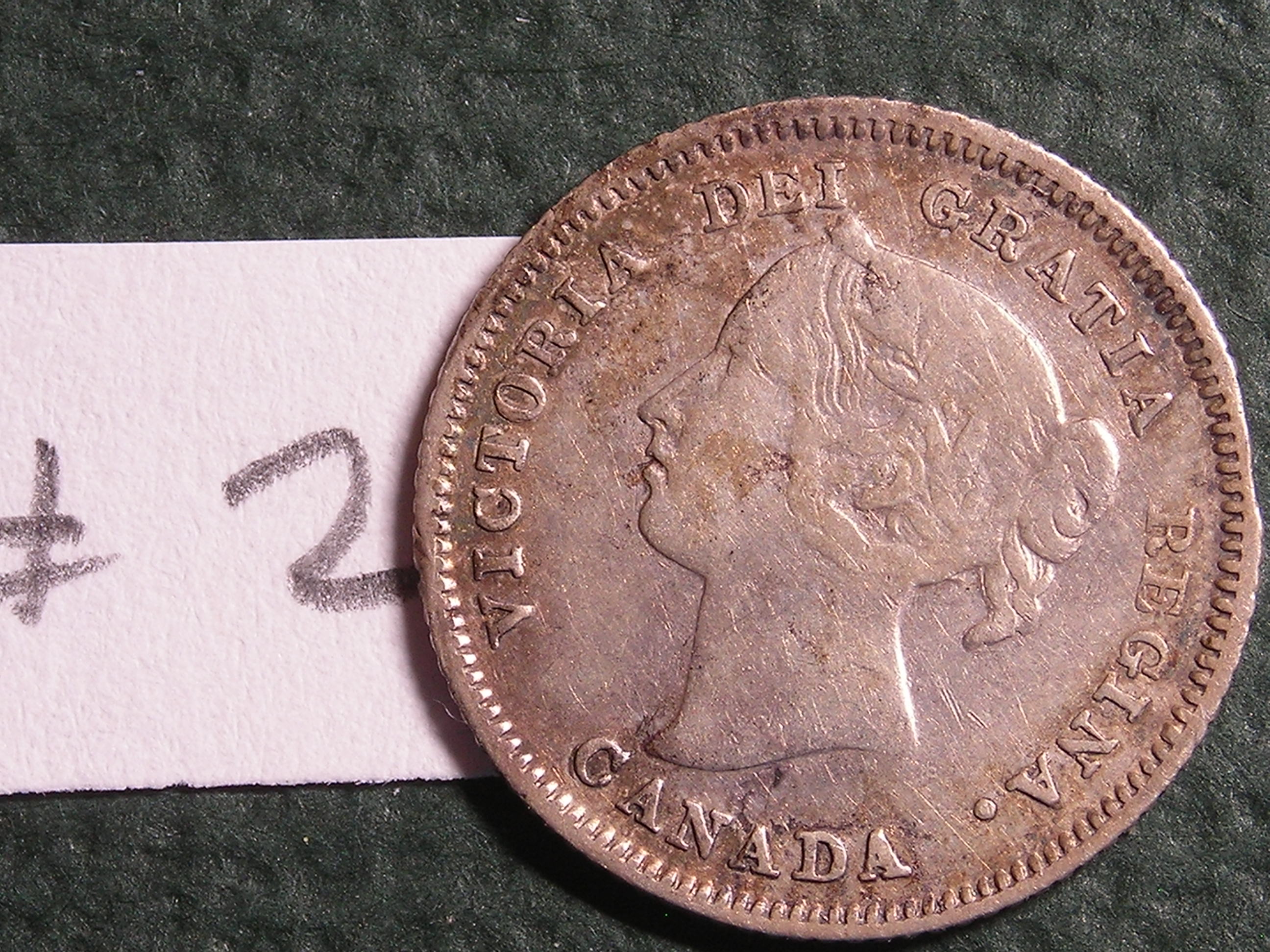 DSCN1166.JPG
